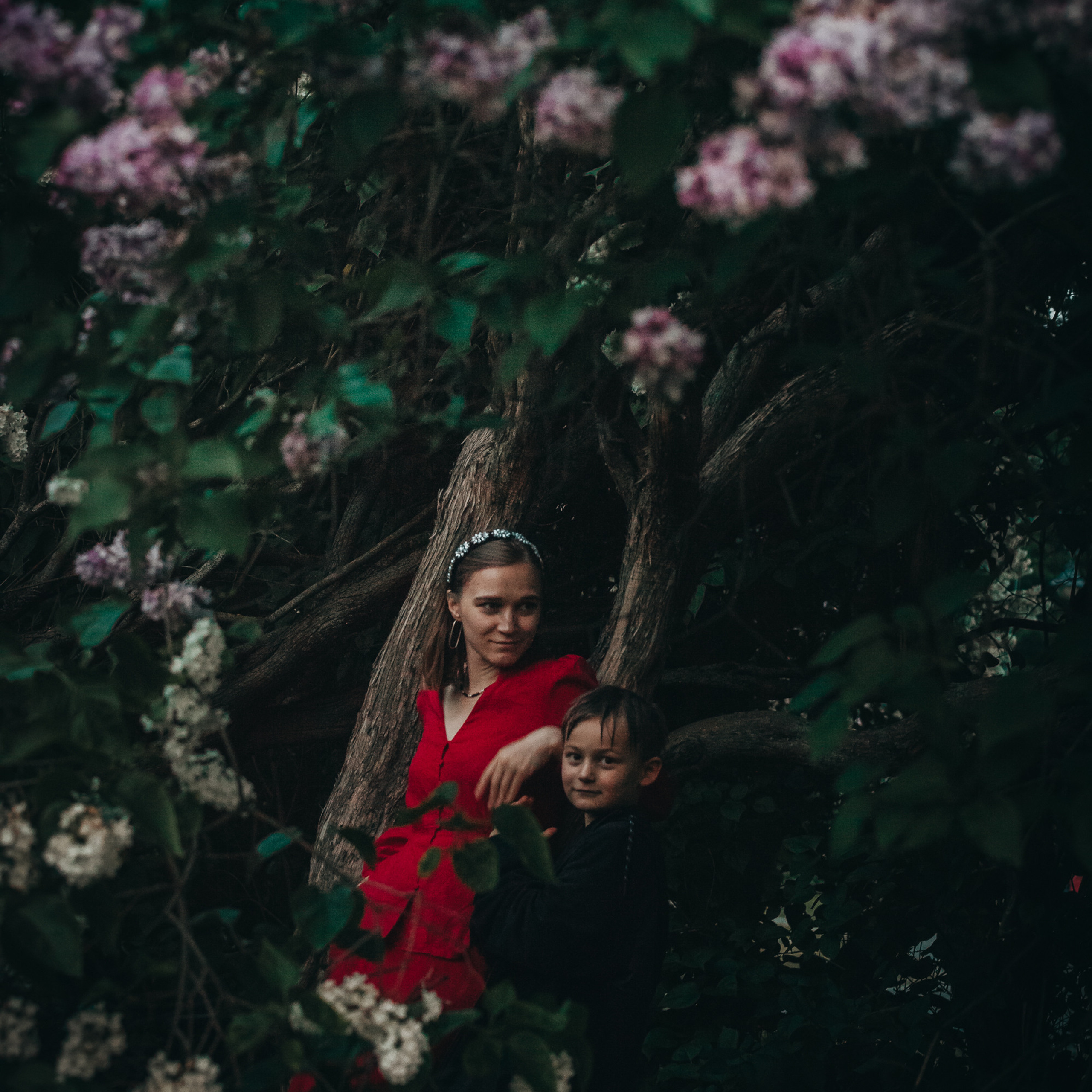 Сиреневый сад