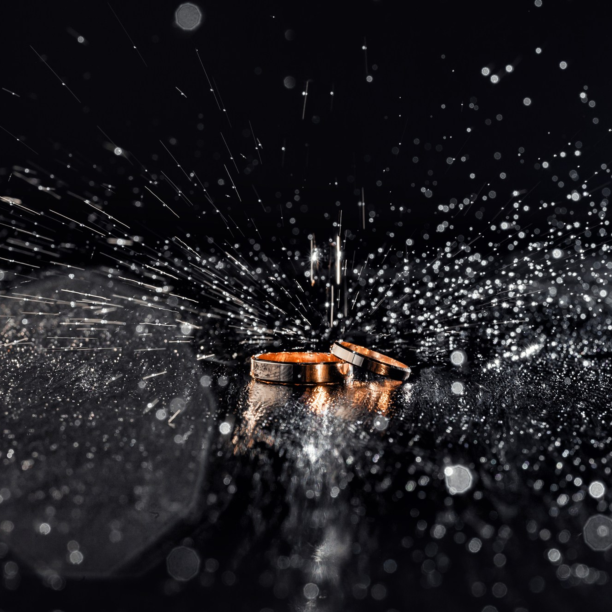 Александр & Анжелика