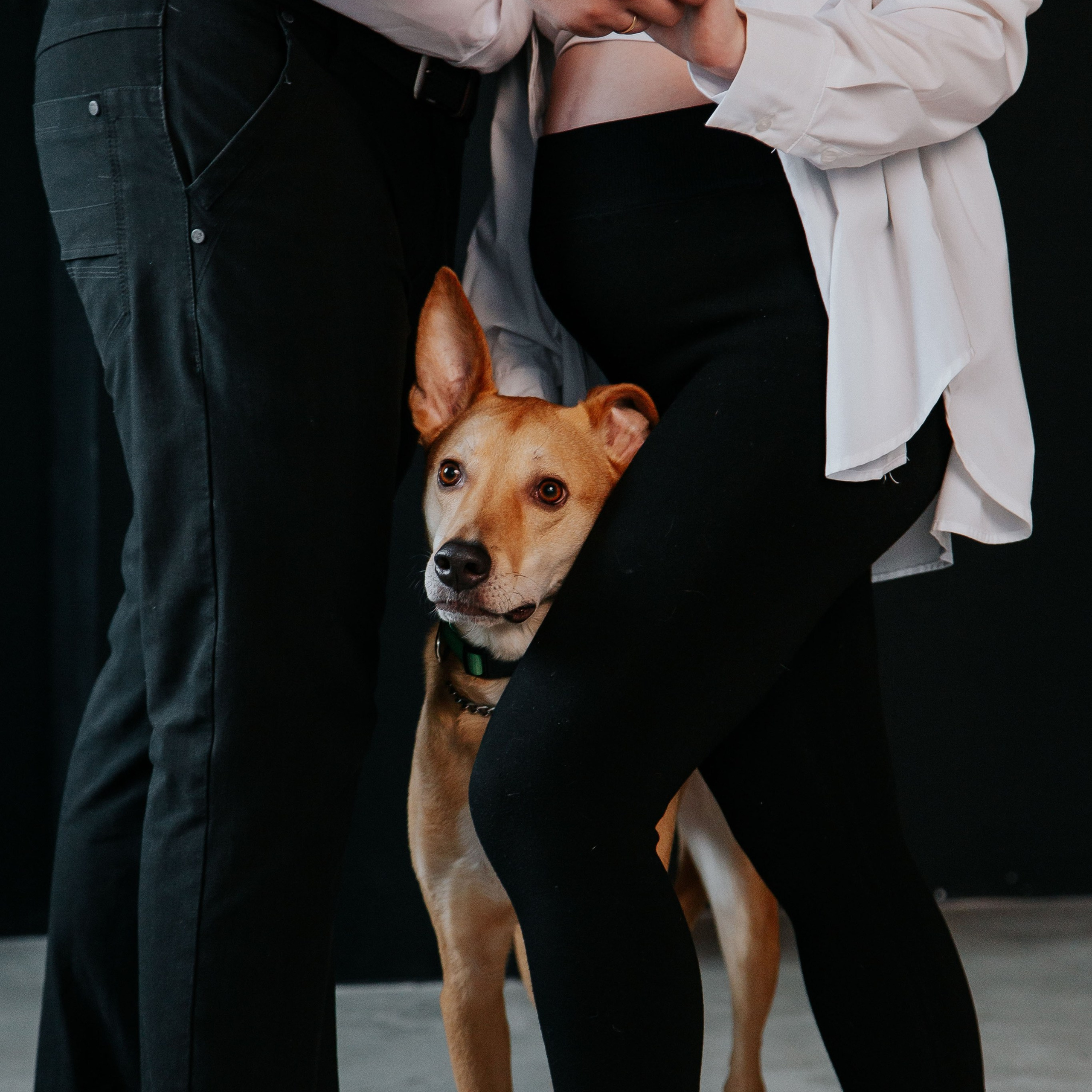 Отзывы. Свадебный фотограф в Красноярске