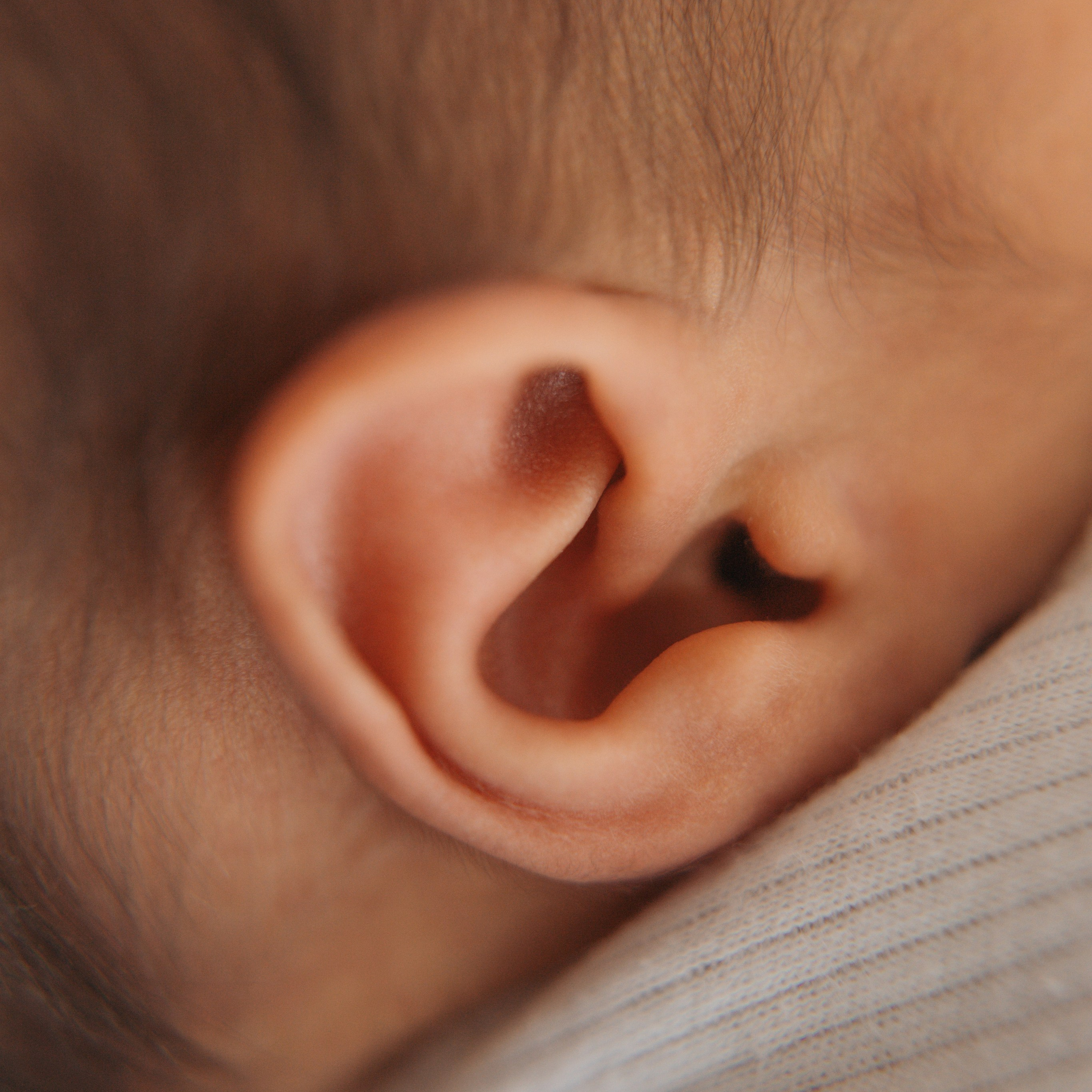 Семейный фотограф в Москве Дарья Верещагина