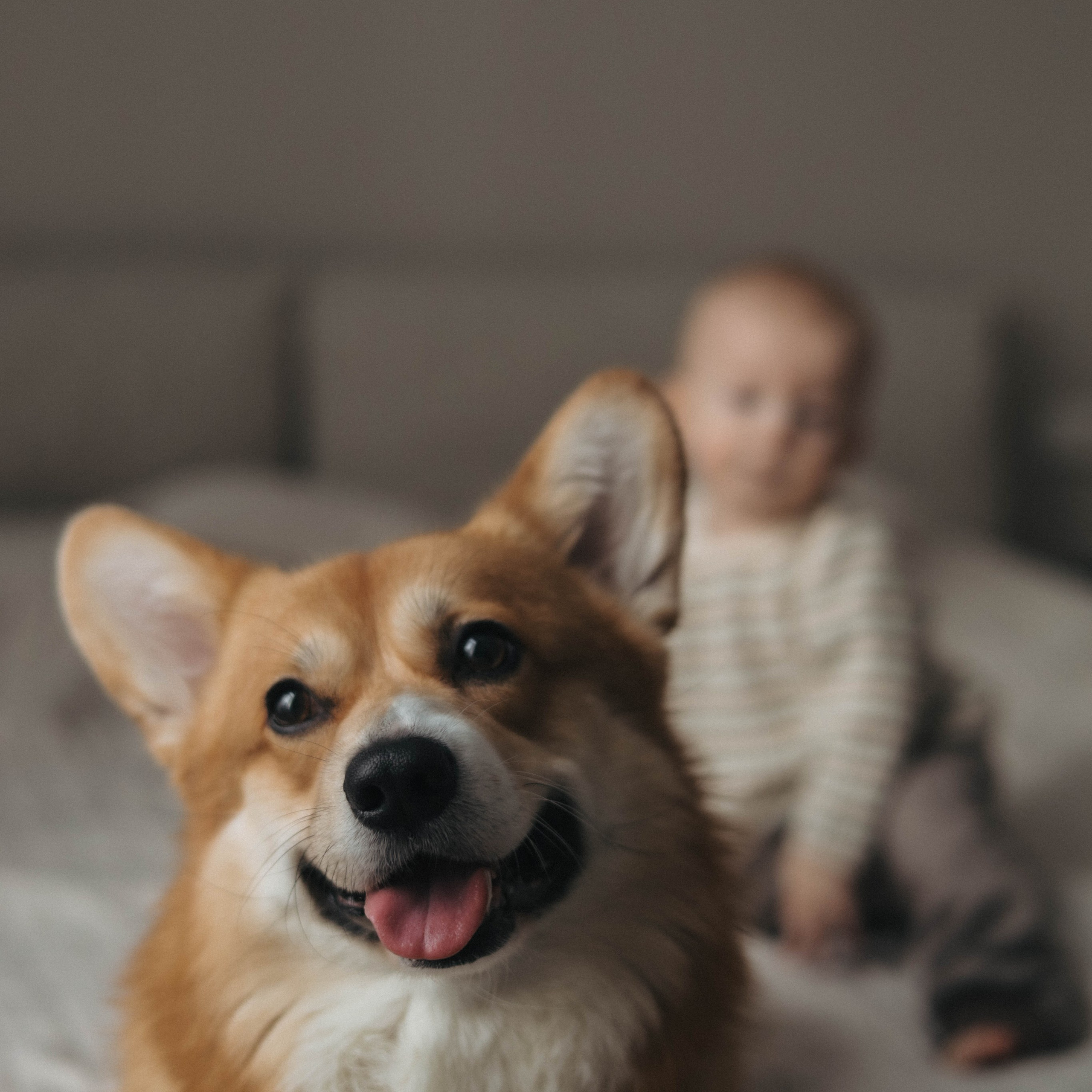 Семейный фотограф в Москве Дарья Верещагина