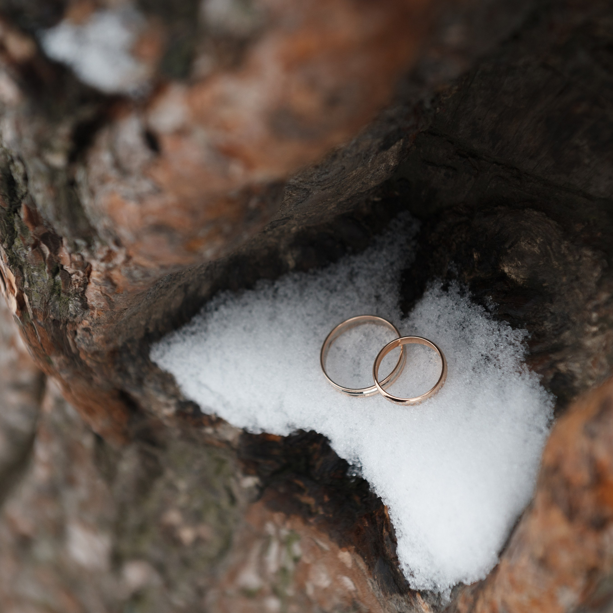Отзывы. Фотограф Сергей Некрасов