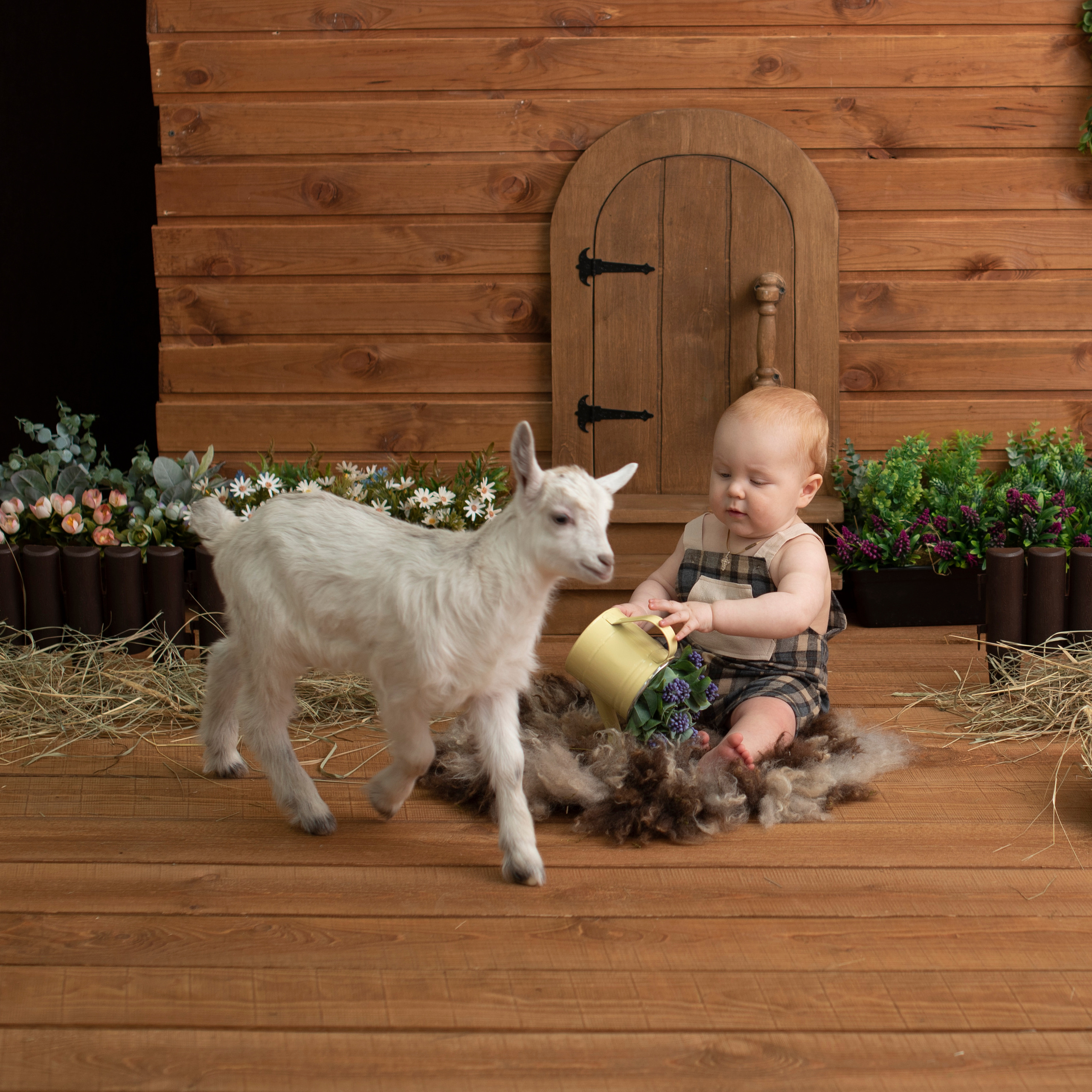 Отзывы. Фотограф новорожденных и детский фотограф Старый Оскол