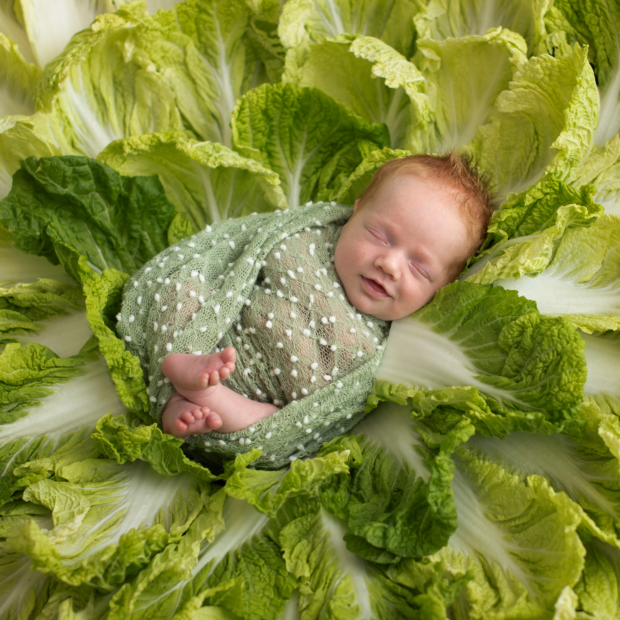 Отзывы. Фотограф новорожденных и детский фотограф Старый Оскол