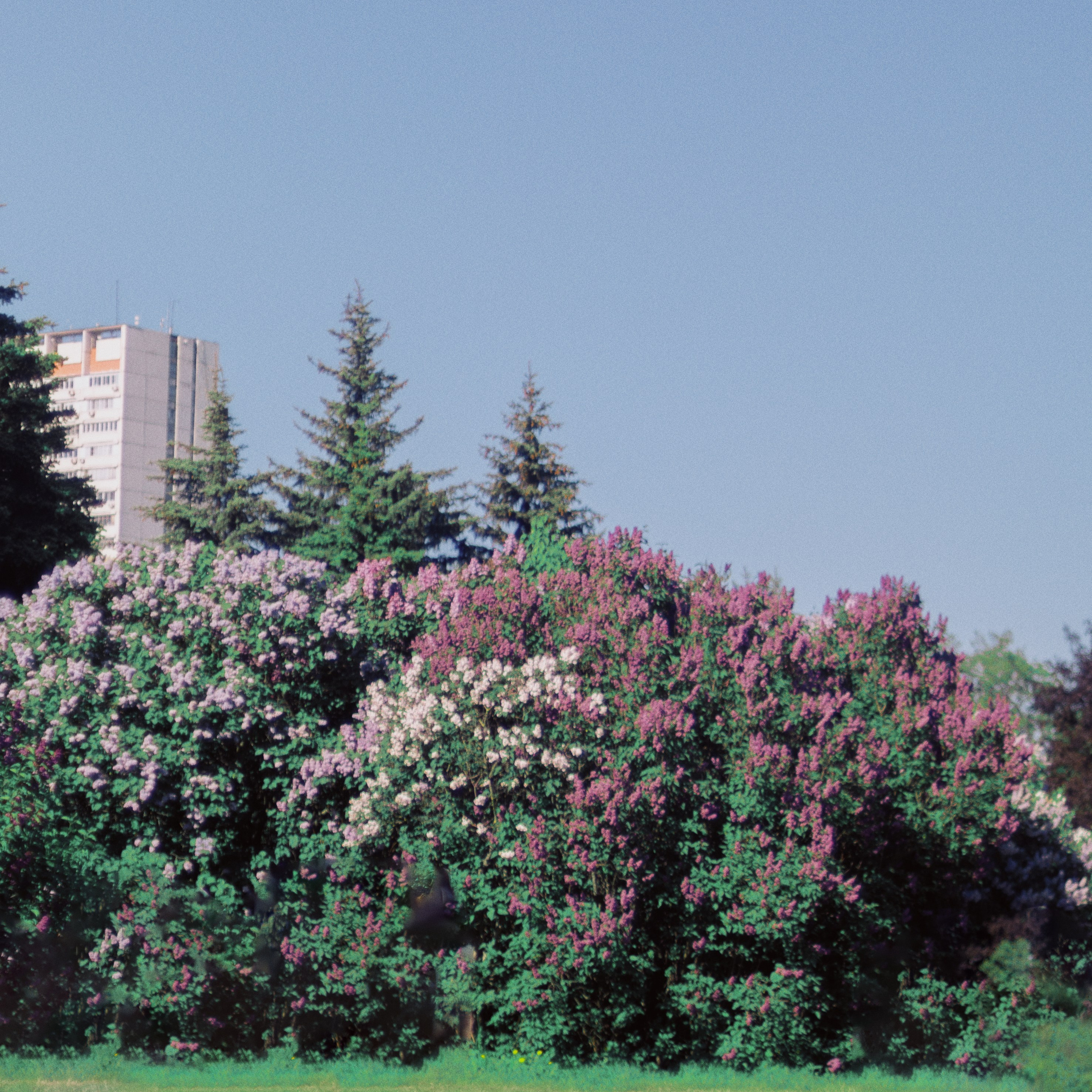 Егор и Алина. Фотограф Москва Суркова Ангелина