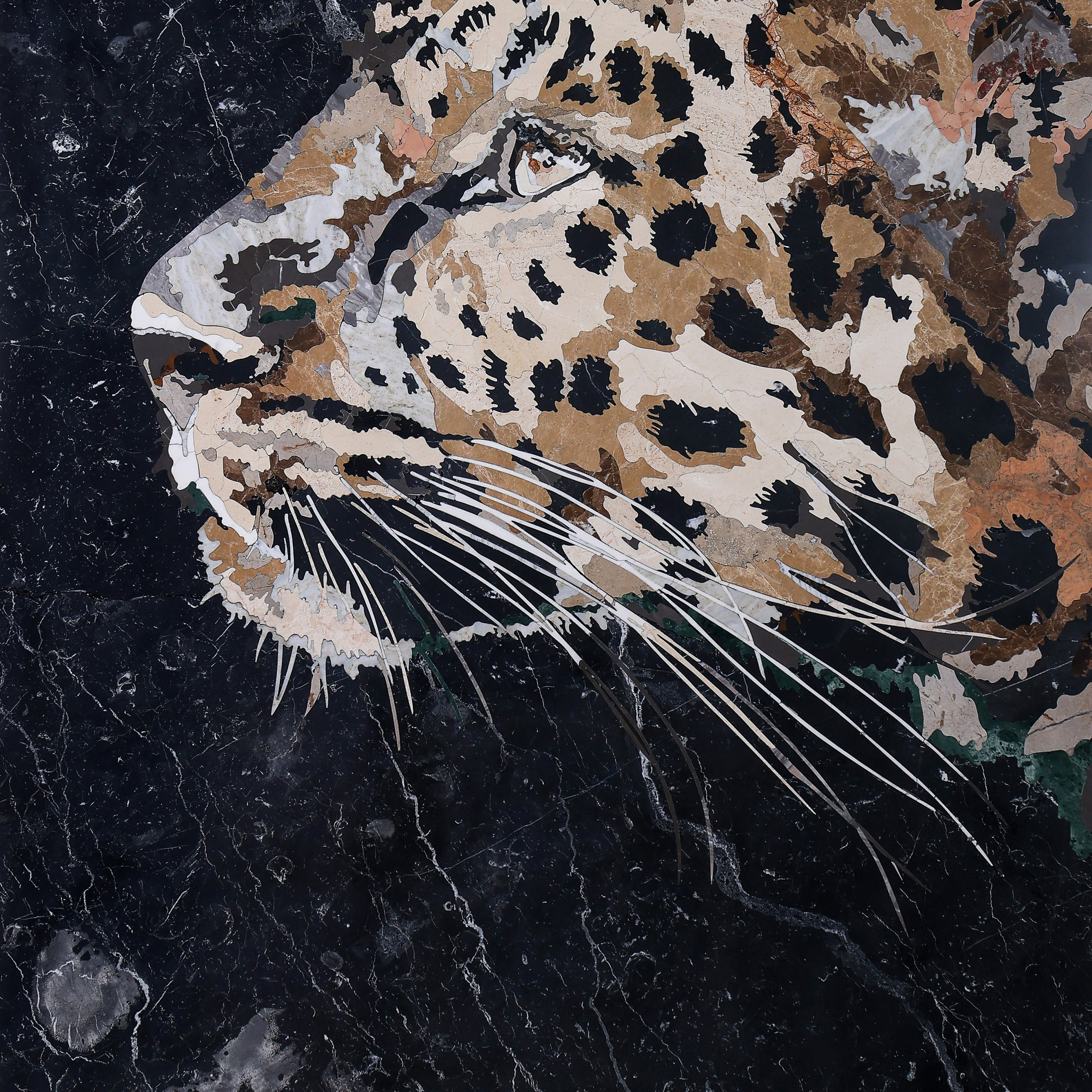 Отзывы. PACARD PRODUCTION — фотосъемка контента для Вашего бизнеса