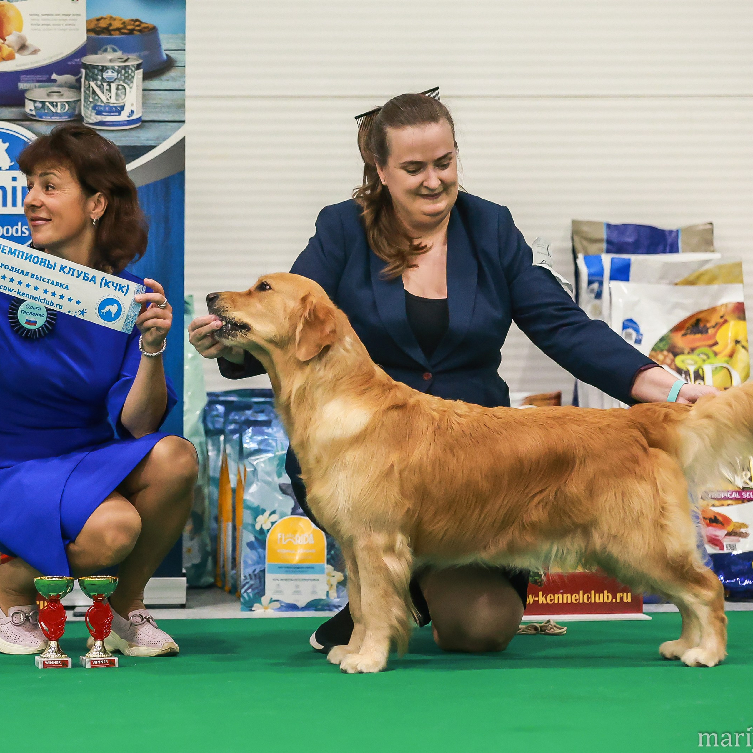 Отзывы. Семейный и детский фотограф в Москве Мария Быкова