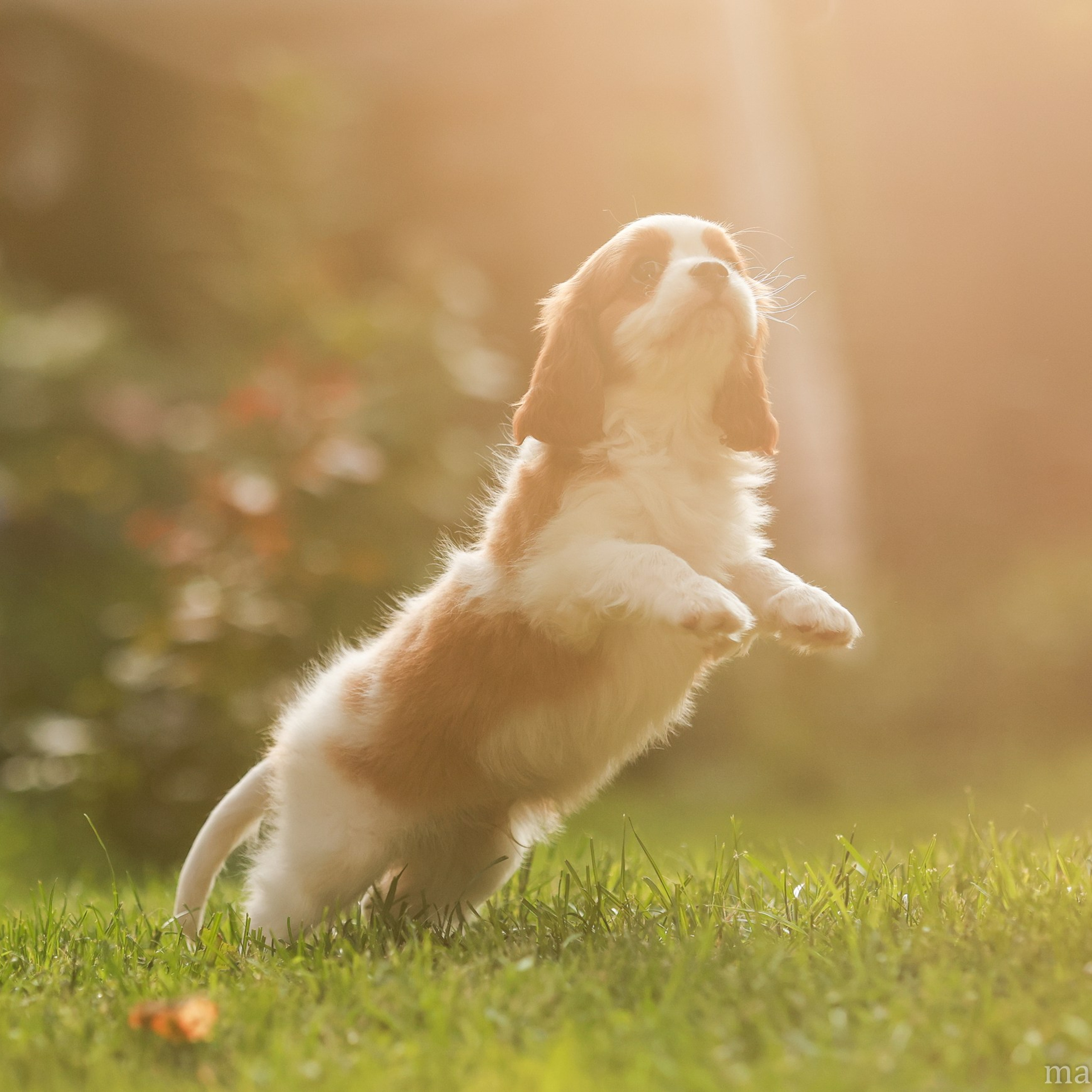 Отзывы. Семейный и детский фотограф в Москве Мария Быкова