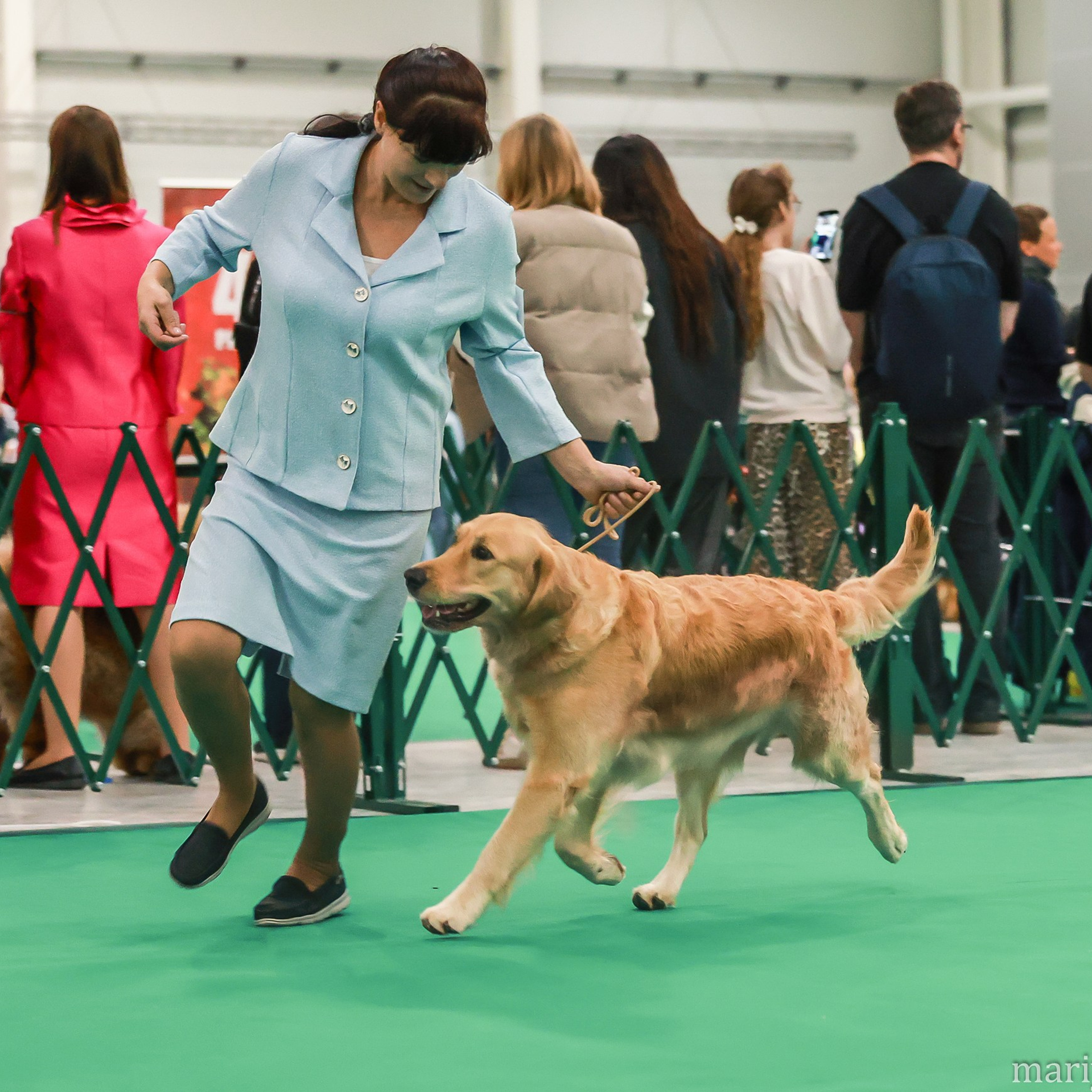 Отзывы. Семейный и детский фотограф в Москве Мария Быкова