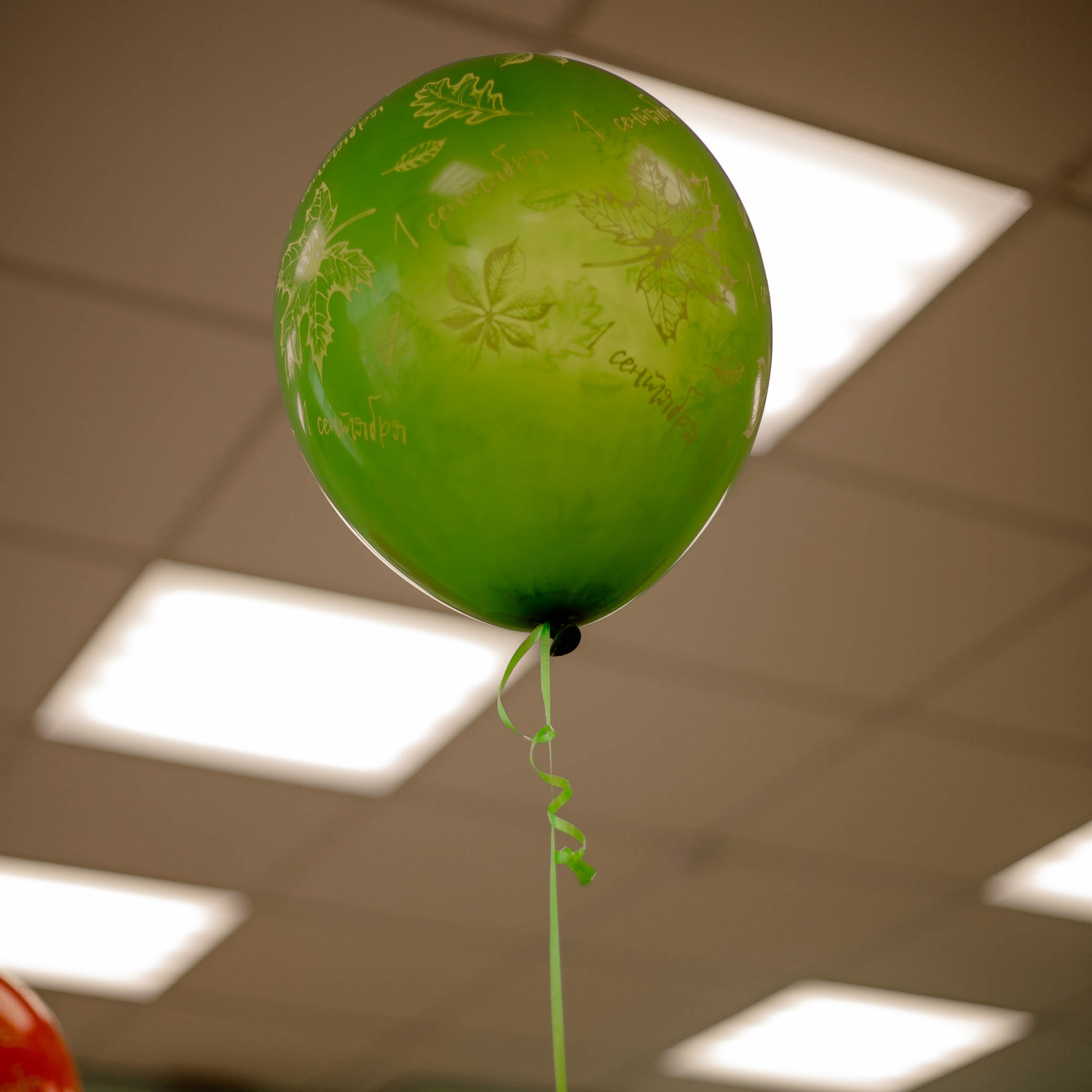 Отзывы. Фотограф Дарья Эпова