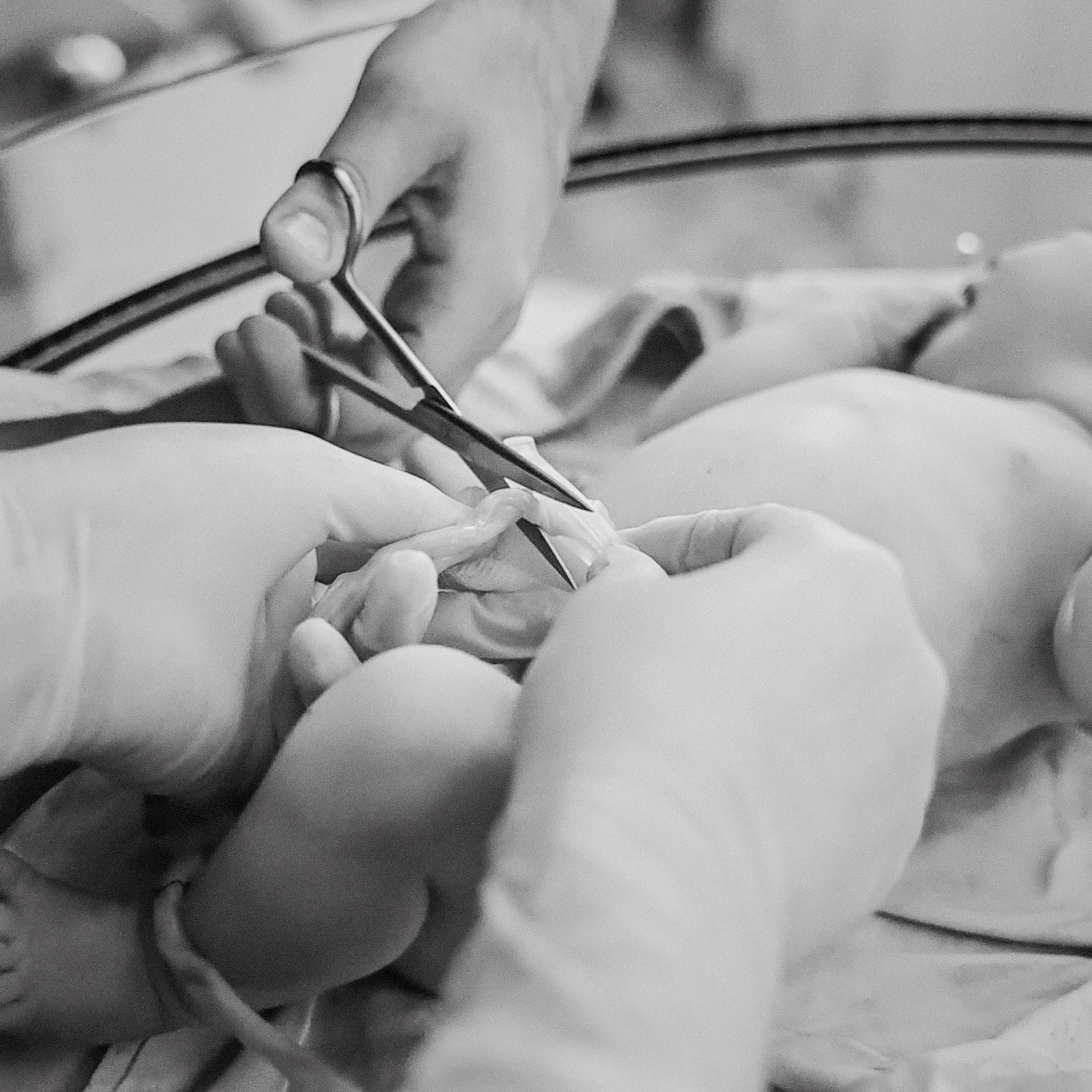 Портфолио. Фото и видео на роды Москва Ирина Жарковская | BIRTH.DAY PHOTO