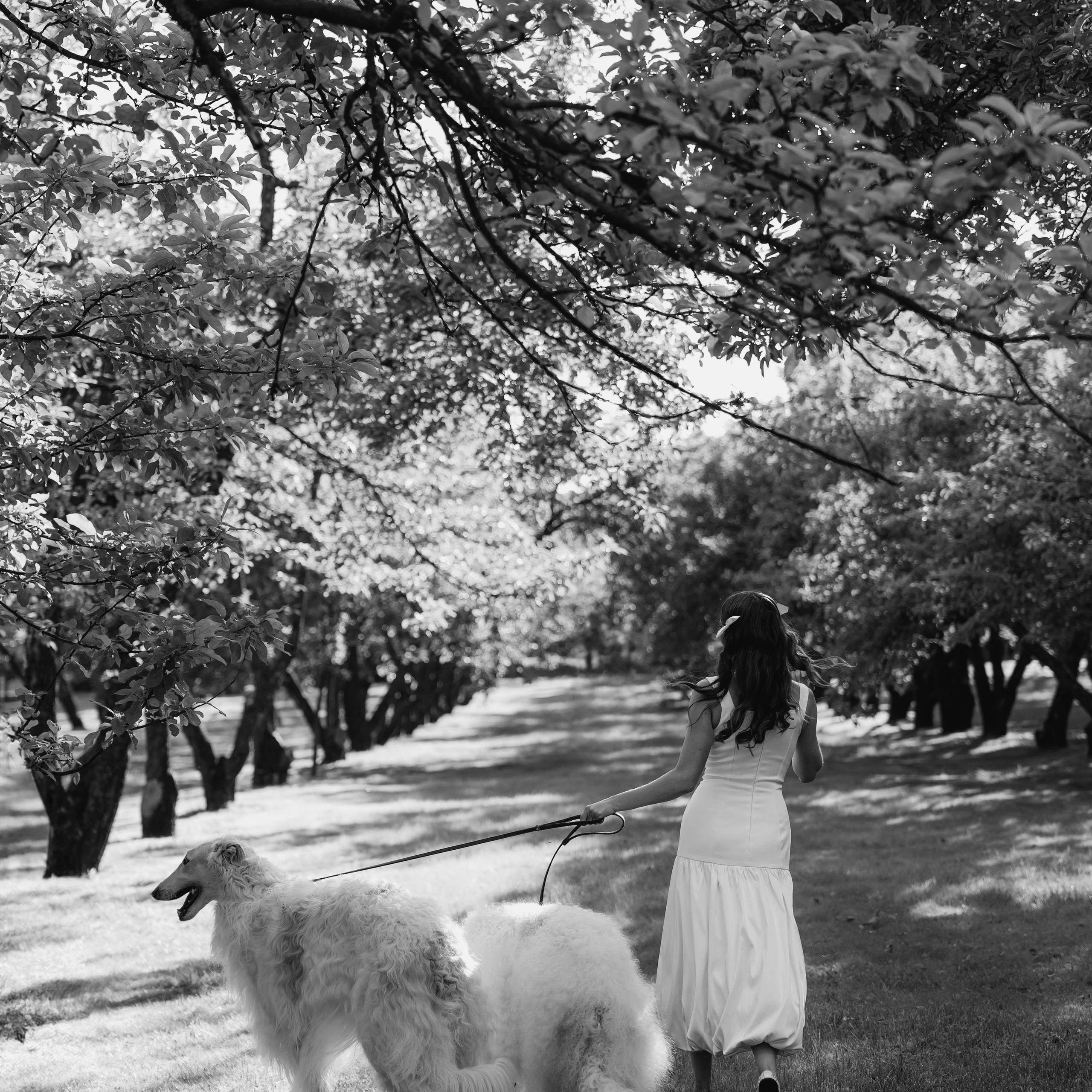 Одним летним вечером