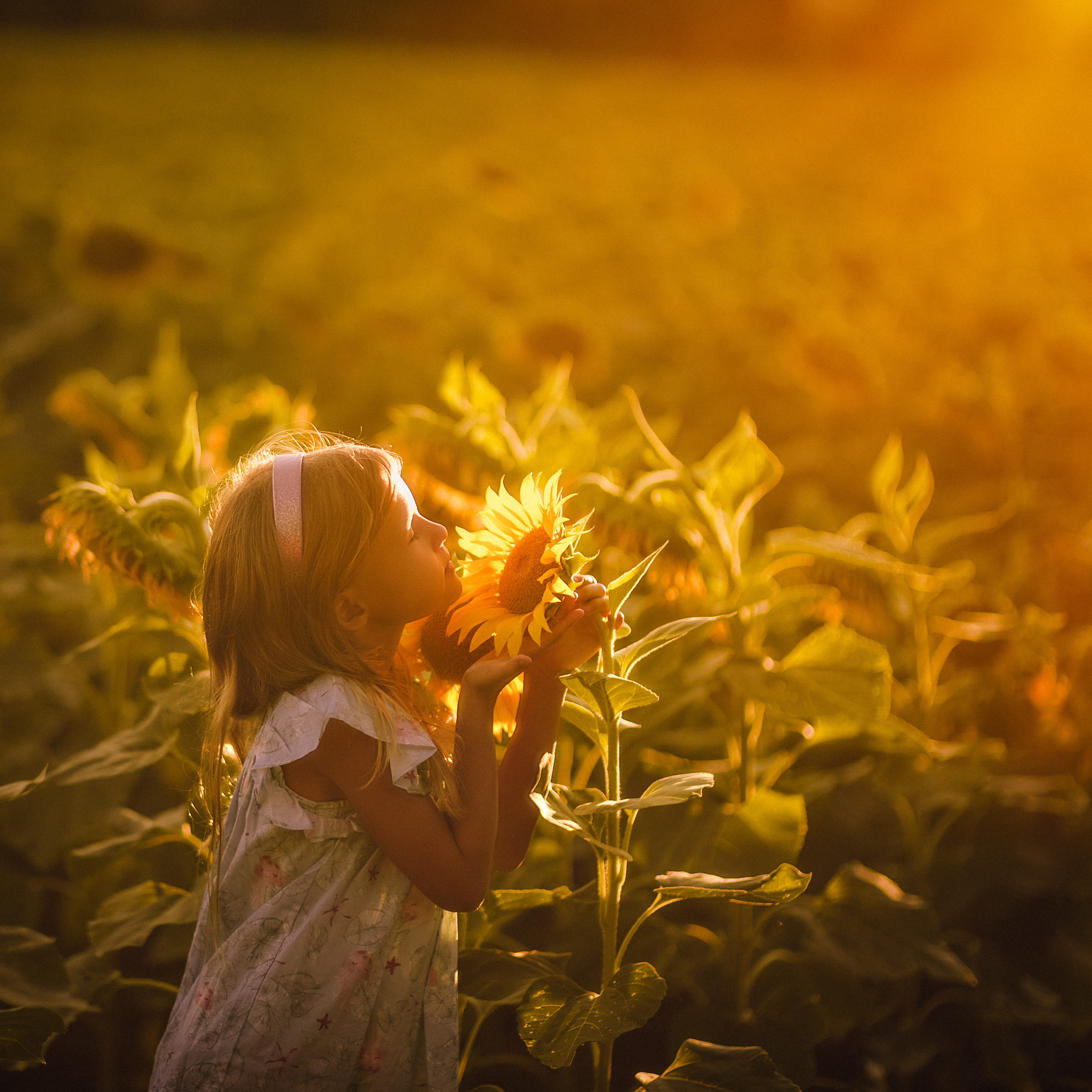 Feed back. Photographer in Provence Julia Lipiainen