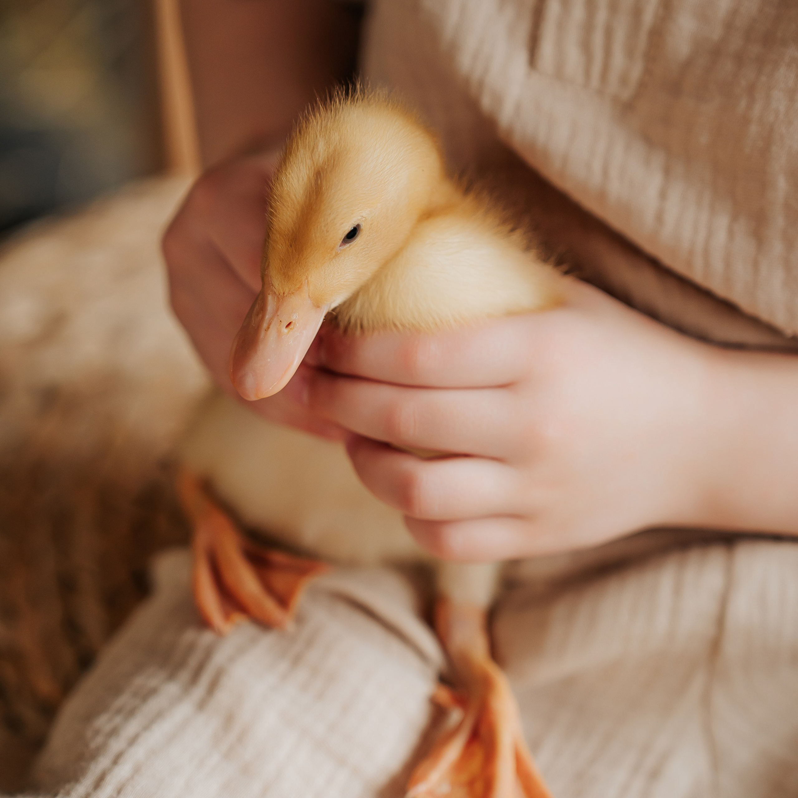 Семья и дети. Фотограф Спирина Ирина