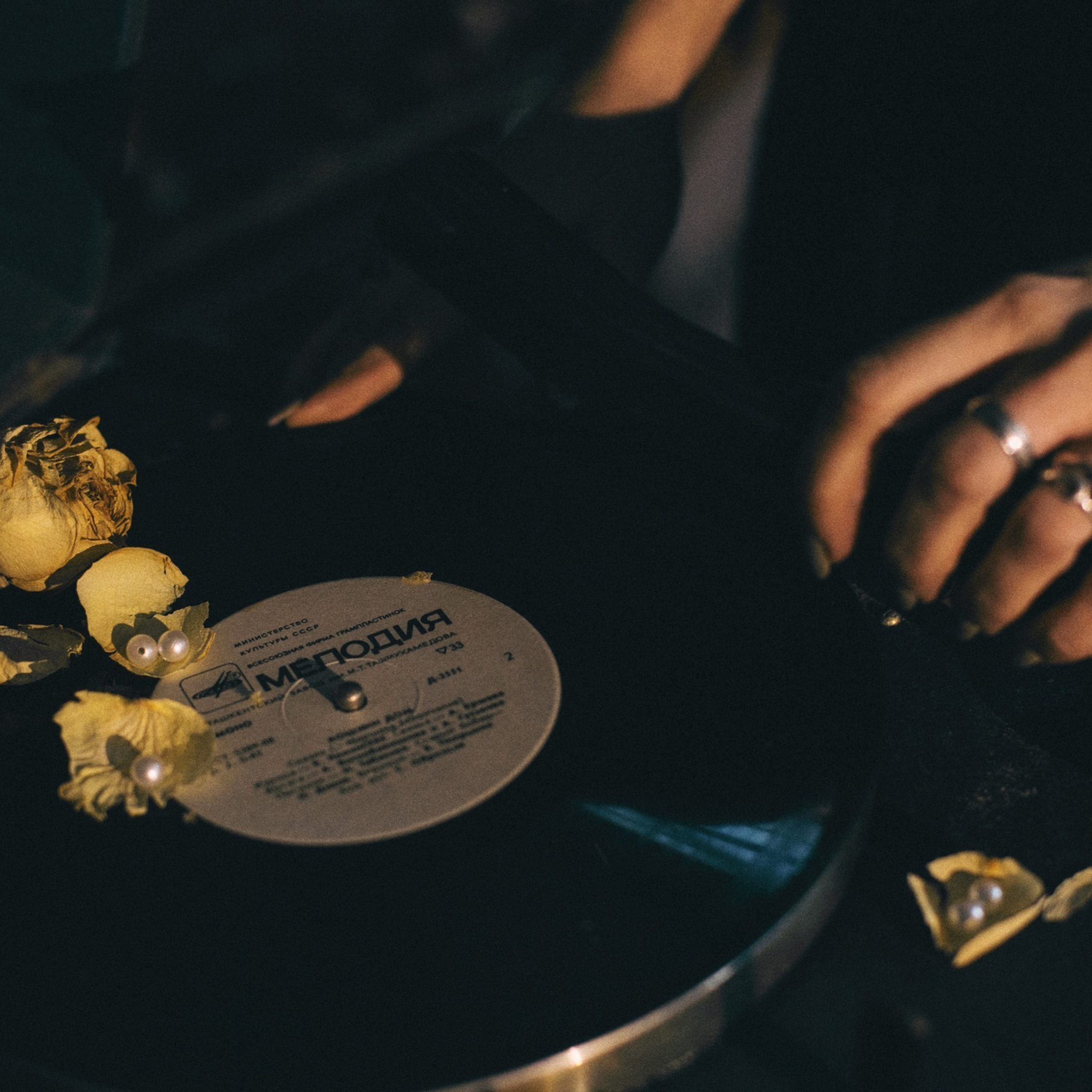 Feedback. Алёна Киселёва | фотограф