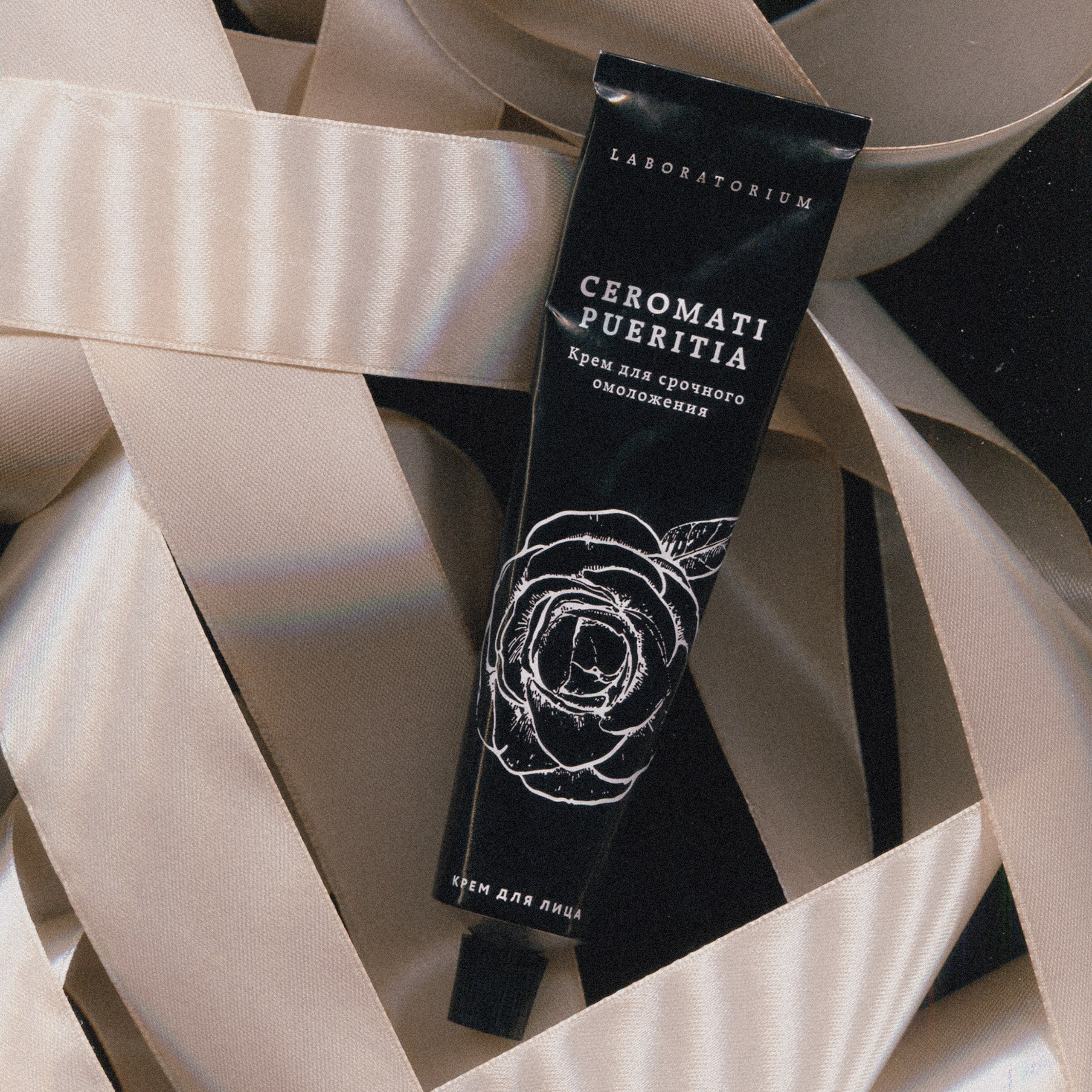 Портфолио. Портретный фотограф в Москве Даша Беседина