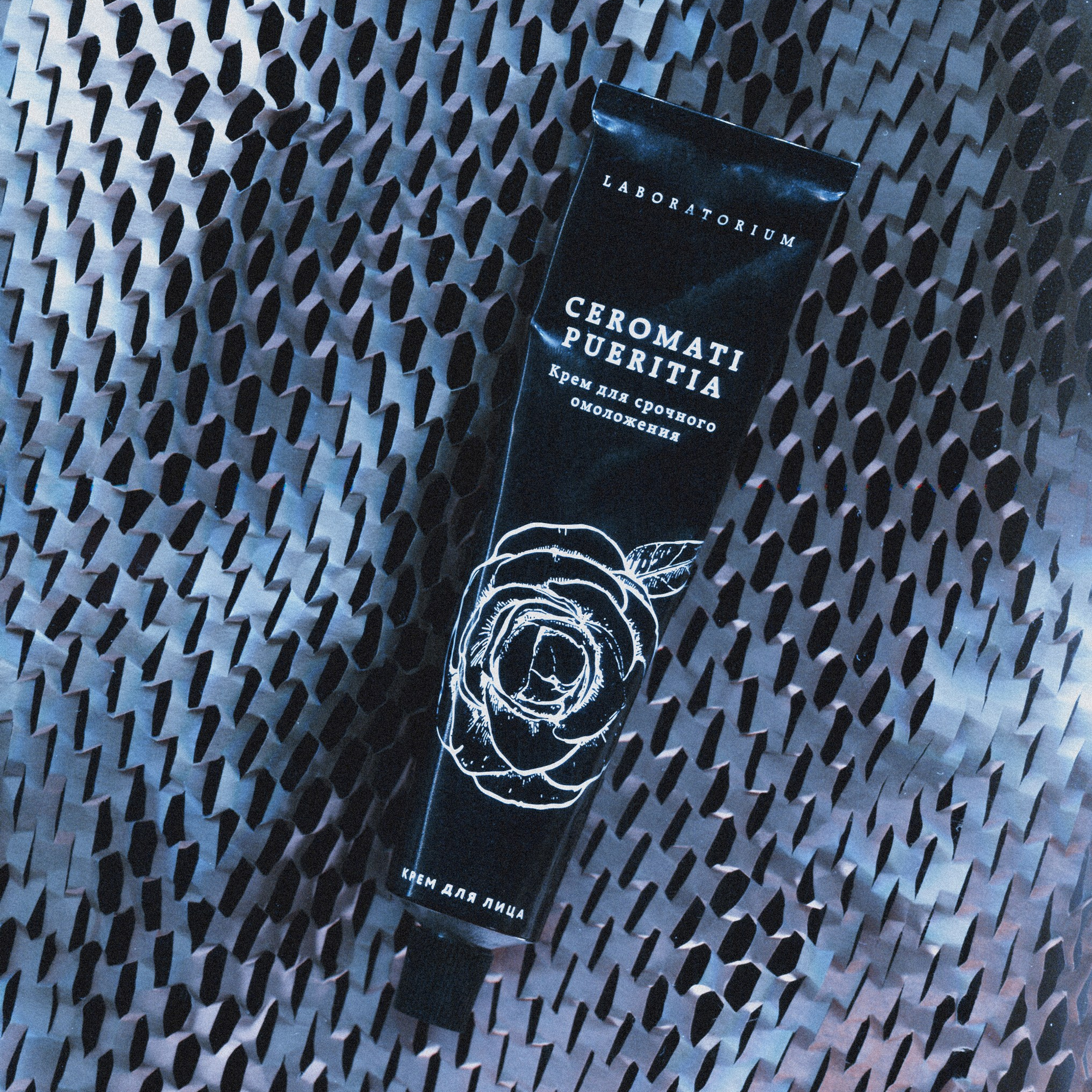 Портфолио. Портретный фотограф в Москве Даша Беседина