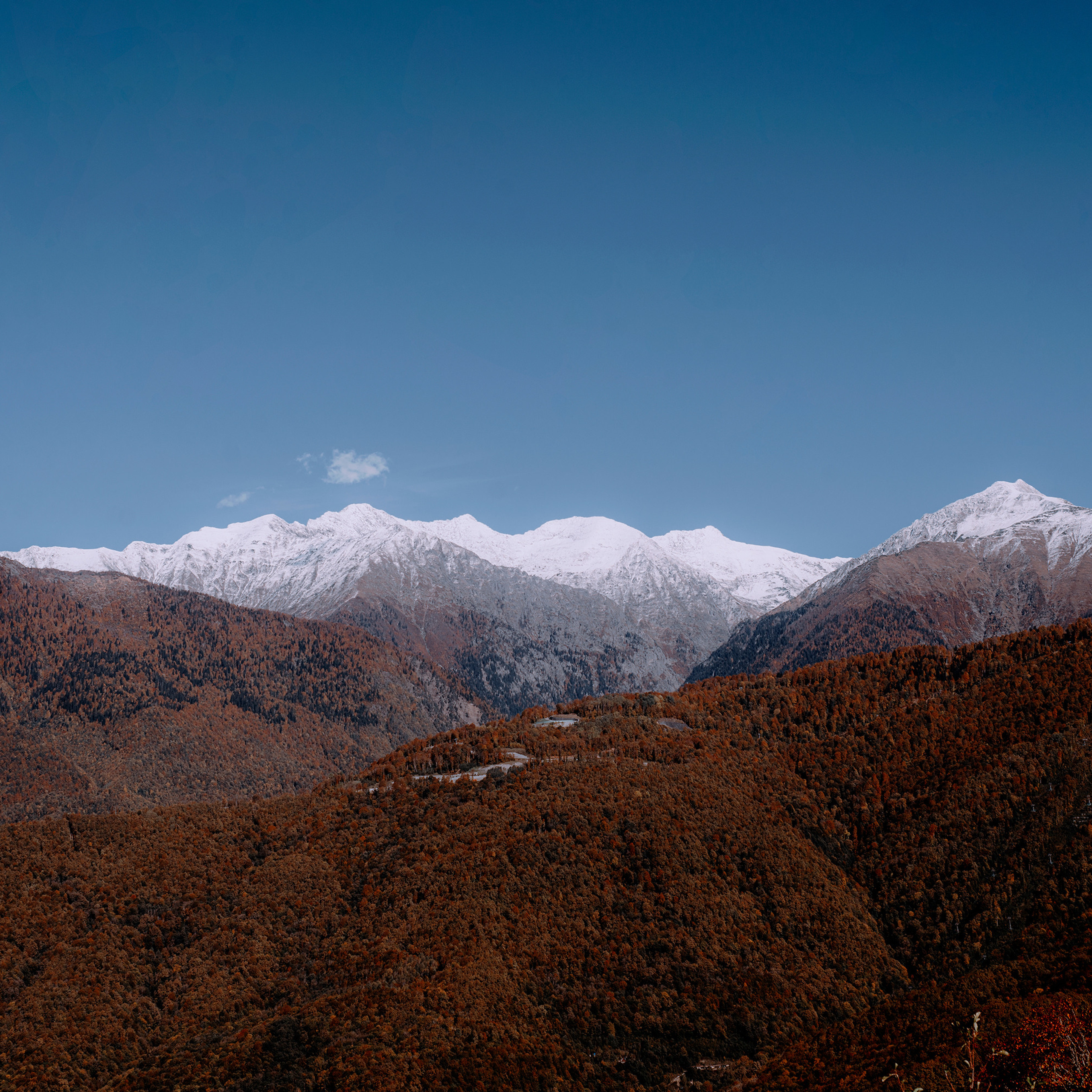 Блог. Портретный фотограф в Москве Даша Беседина