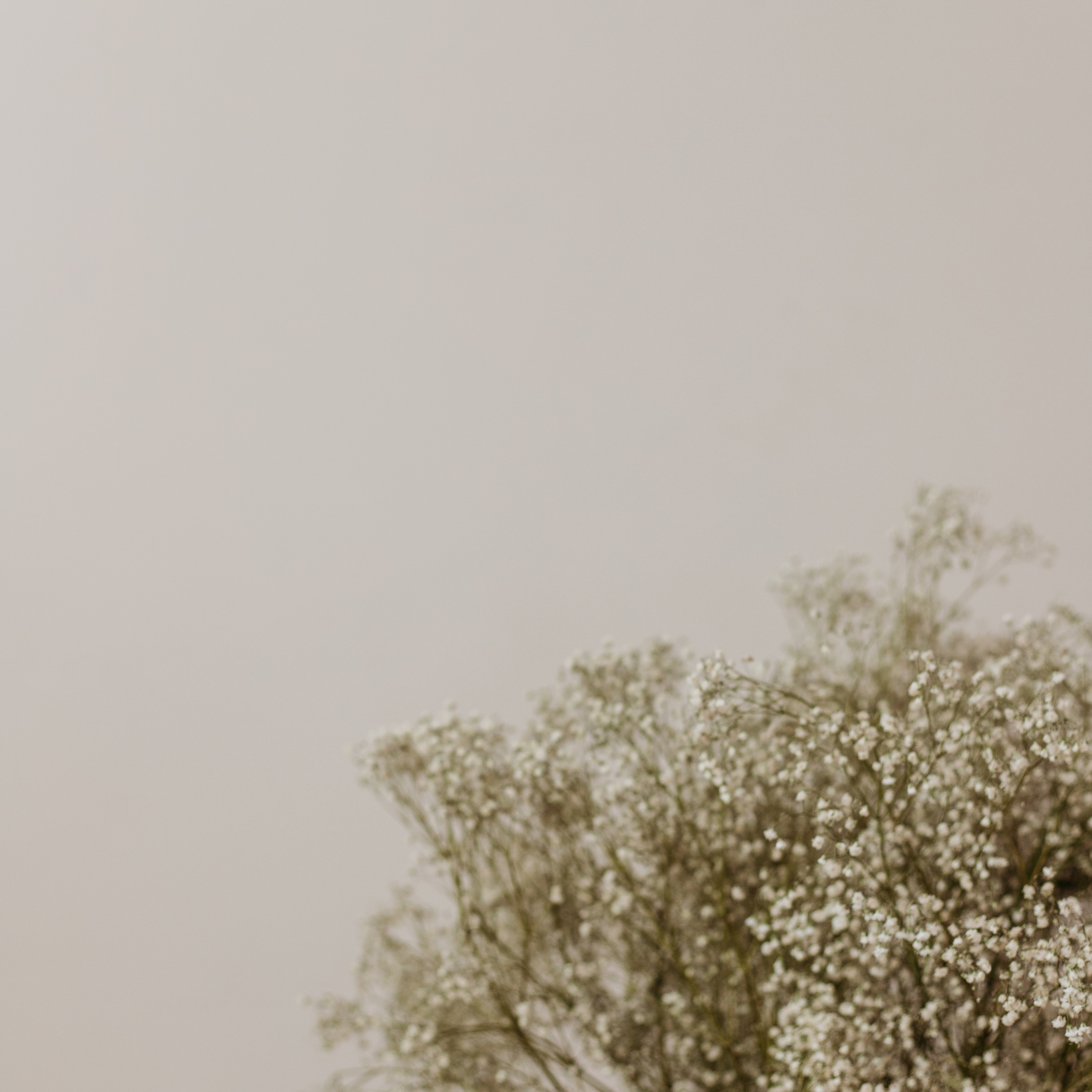 Отзывы. Фотограф для мам Екатеринбург