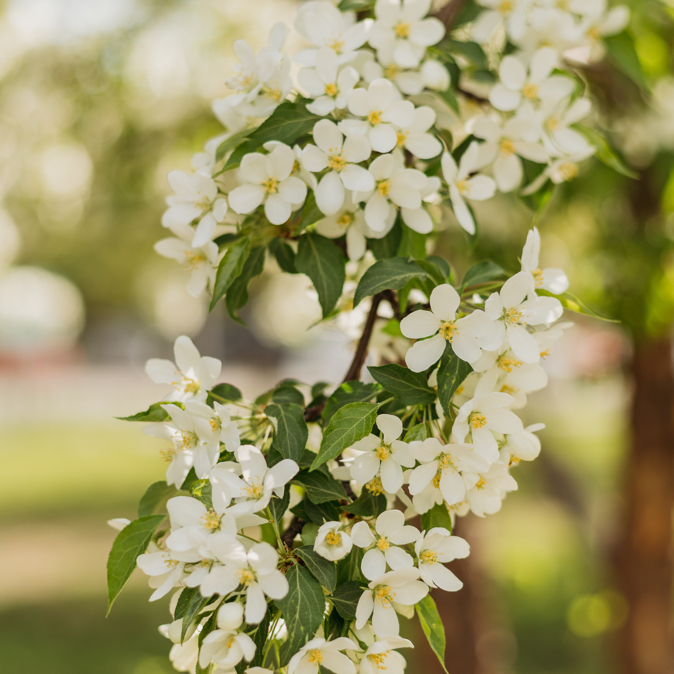 Отзывы. Фотограф для мам Екатеринбург