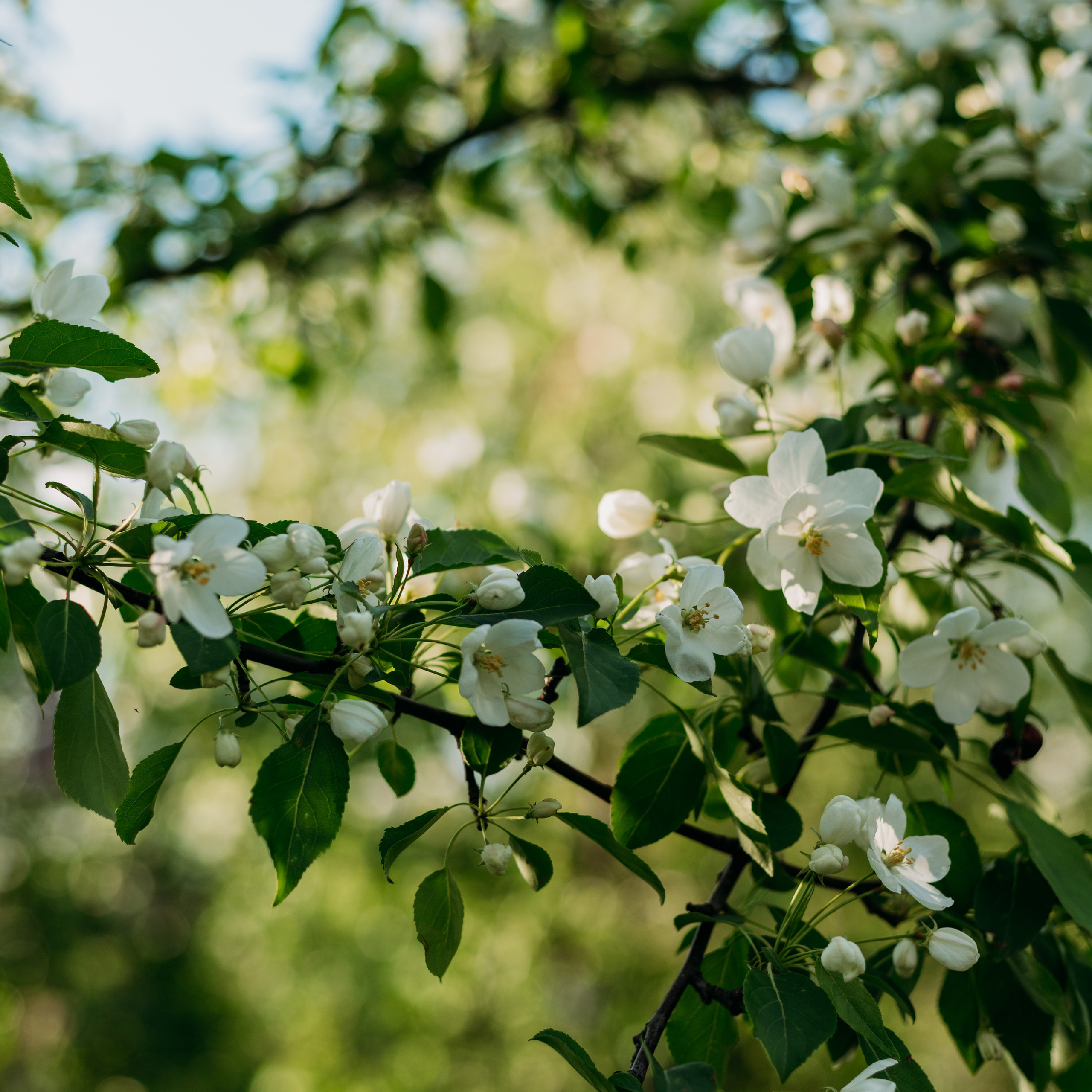 Отзывы. Фотограф для мам Екатеринбург