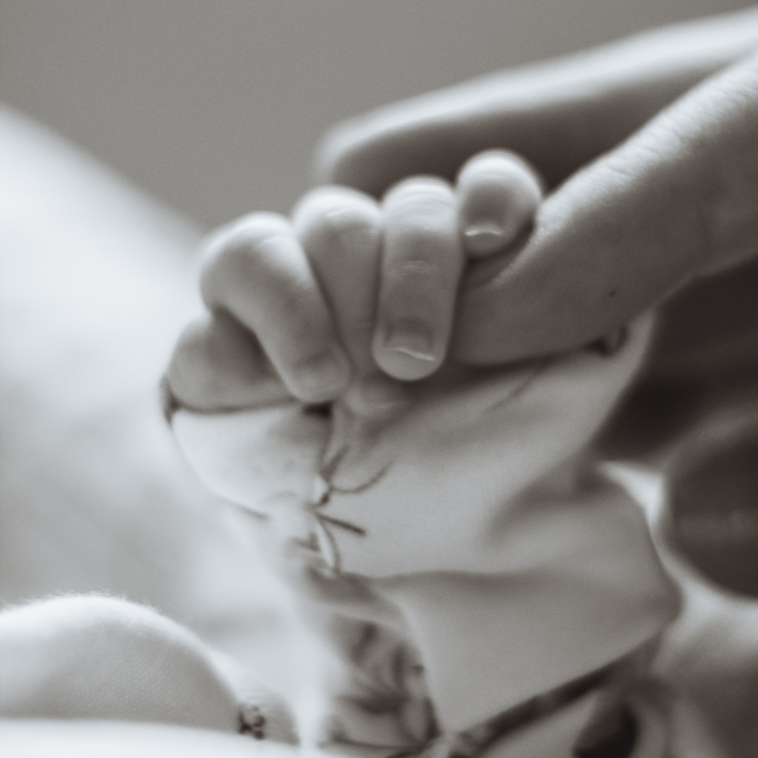 Фотограф Майкоп Белореченск Малина Михаил. Фотограф в Адыгее и Белореченске — Малина Михаил