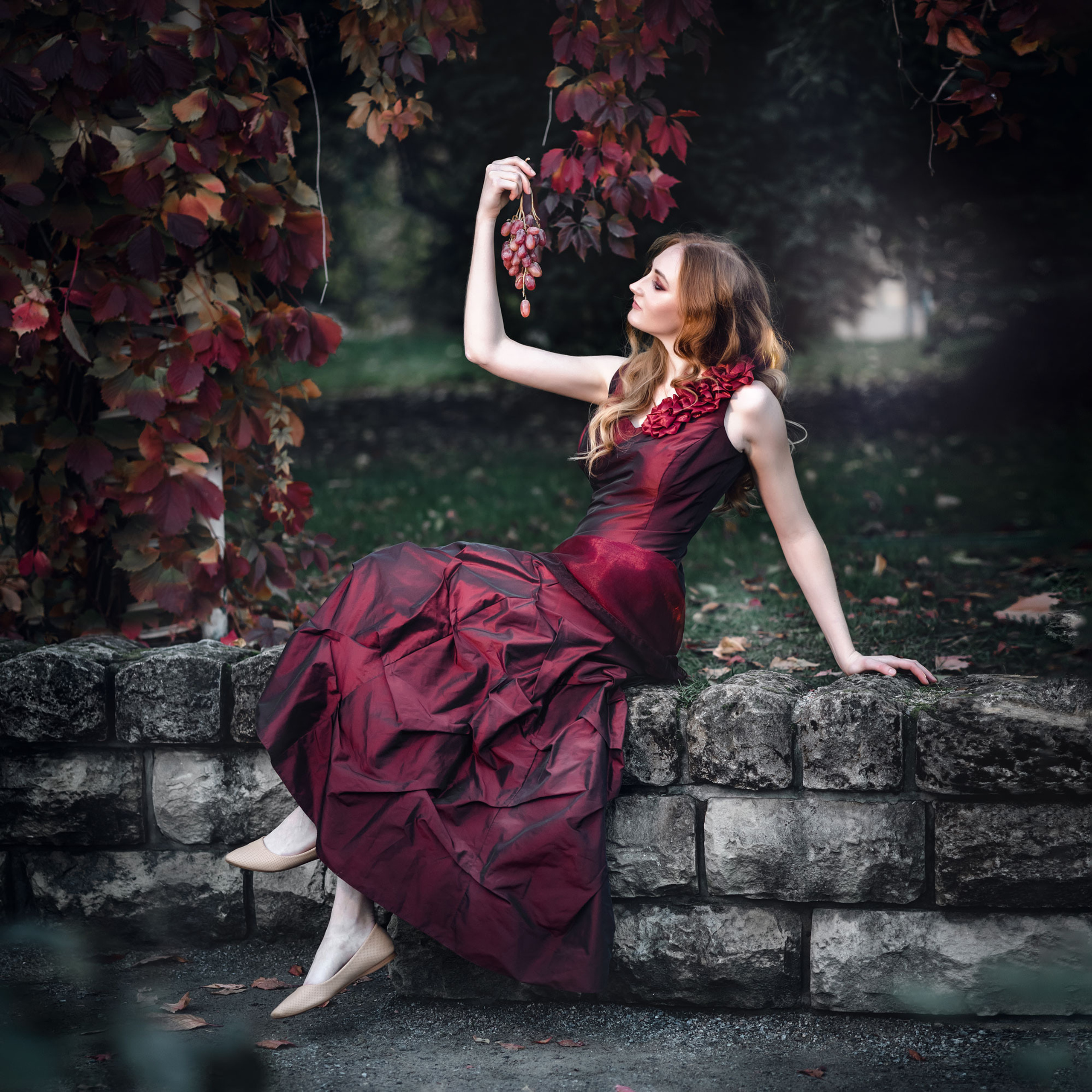 Вино и виноград