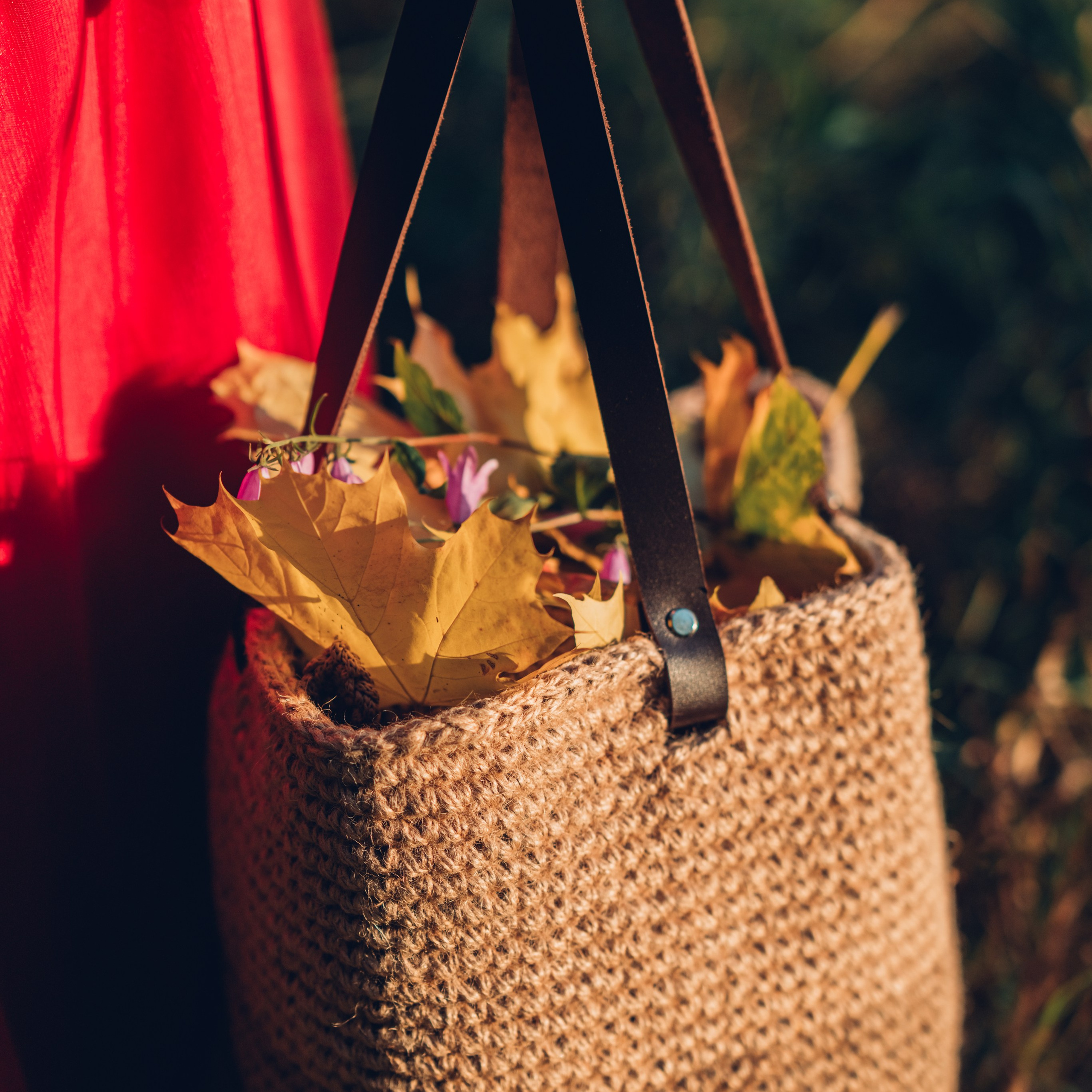 Отзывы. Профессиональный детский и семейный фотограф в Москве Диля Грошева