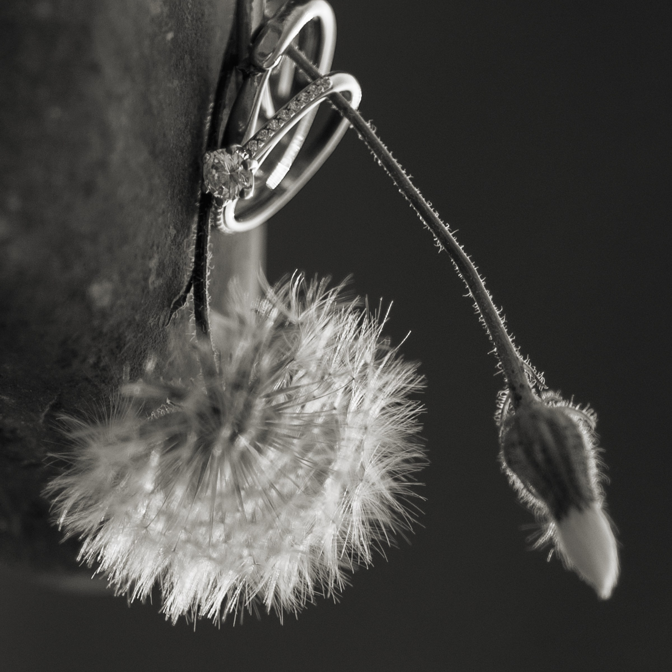 Влада и Константин