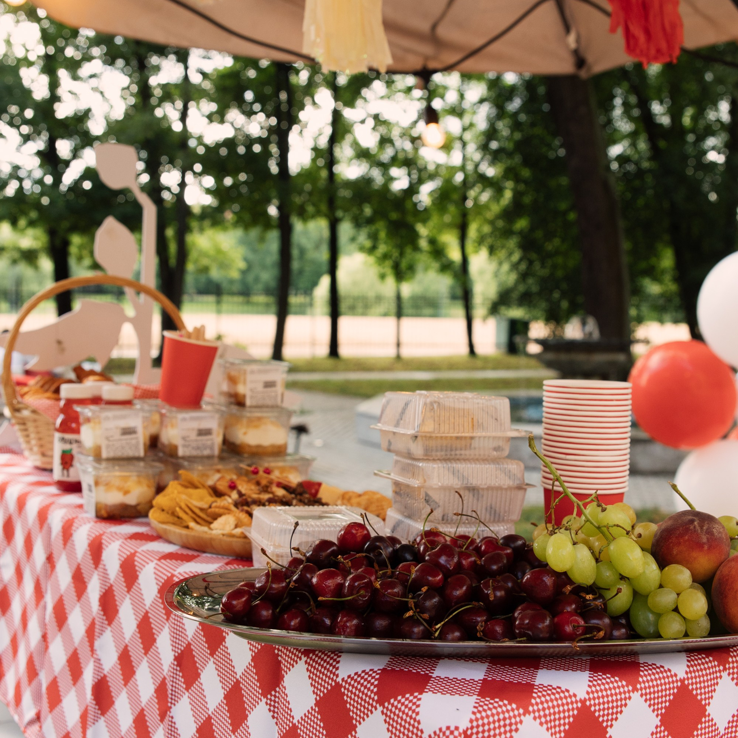 Отзывы. Фотограф в Санкт-Петербурге и Москве
