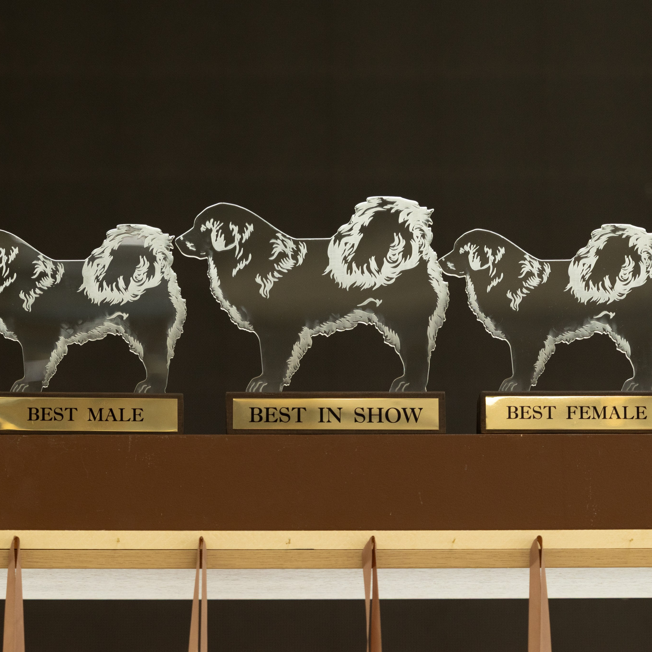 Моно Монгол Банхаров. Иркутск 2025