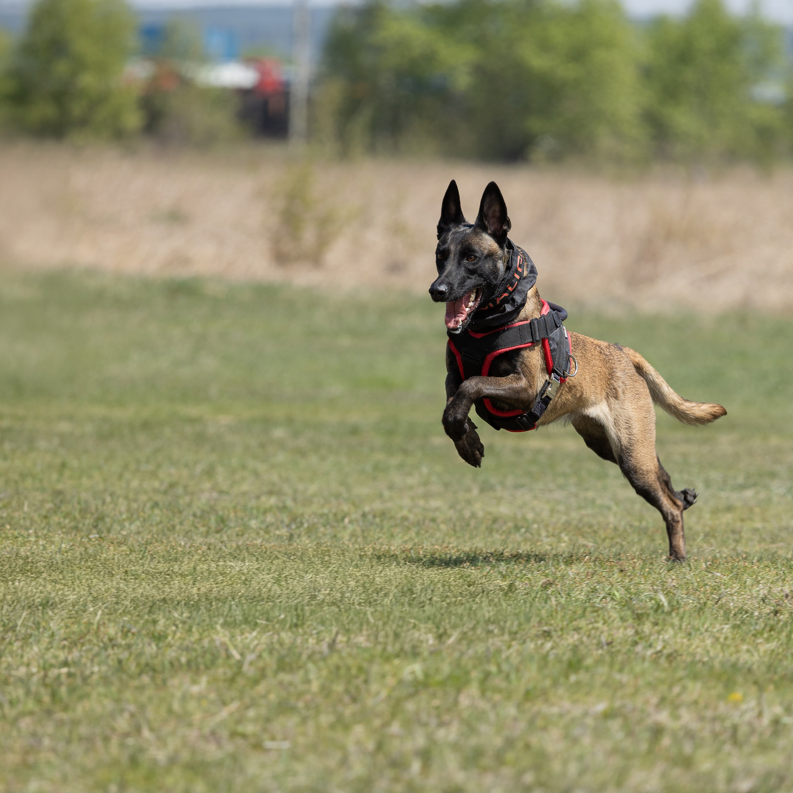 Тренинг по защите с Юрием Бояркиным г. Иркутск