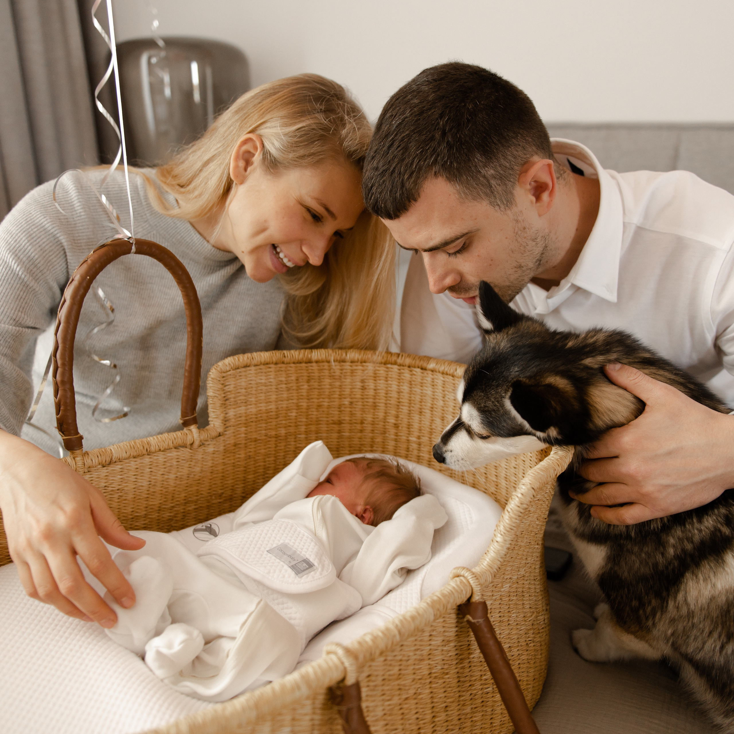 Выписка Паулишы