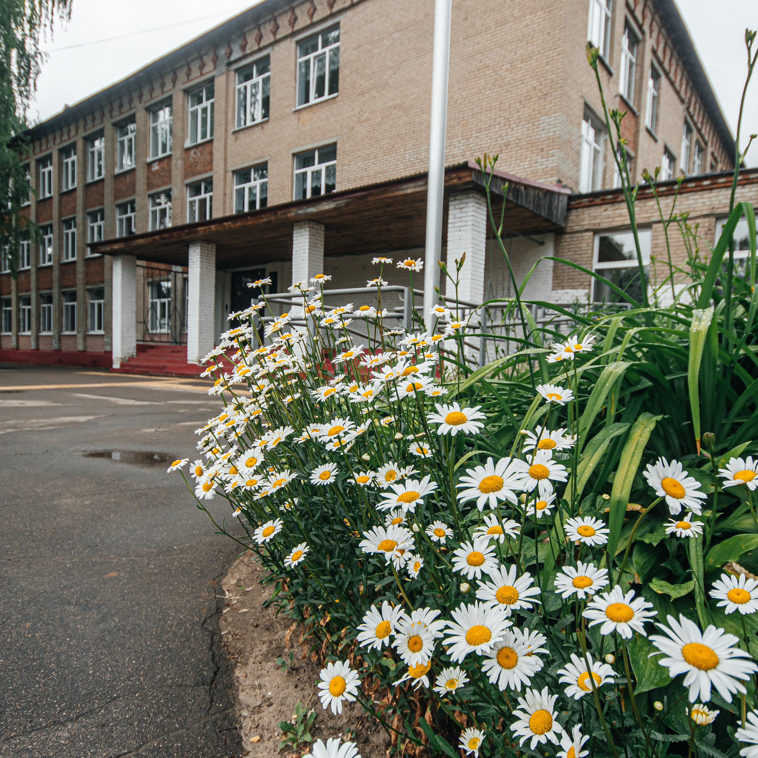 Отзывы. Фотограф Елена Рогашкова