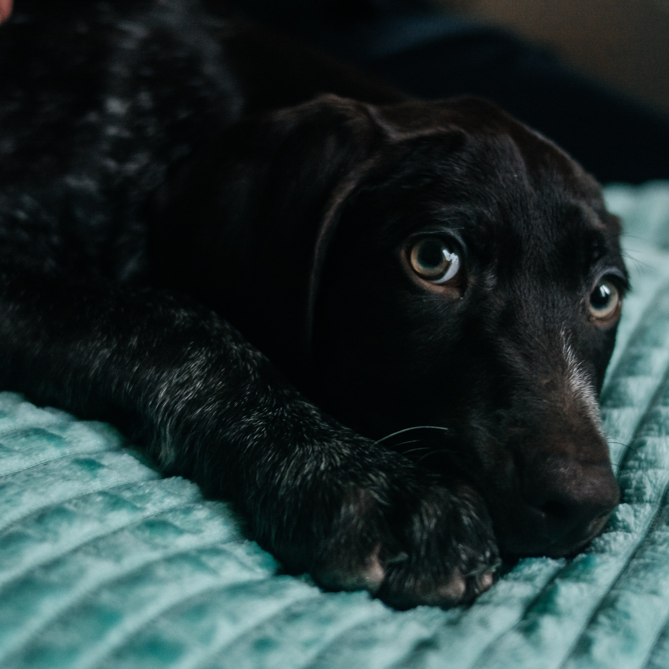Отзывы. Фотограф Елена Рогашкова