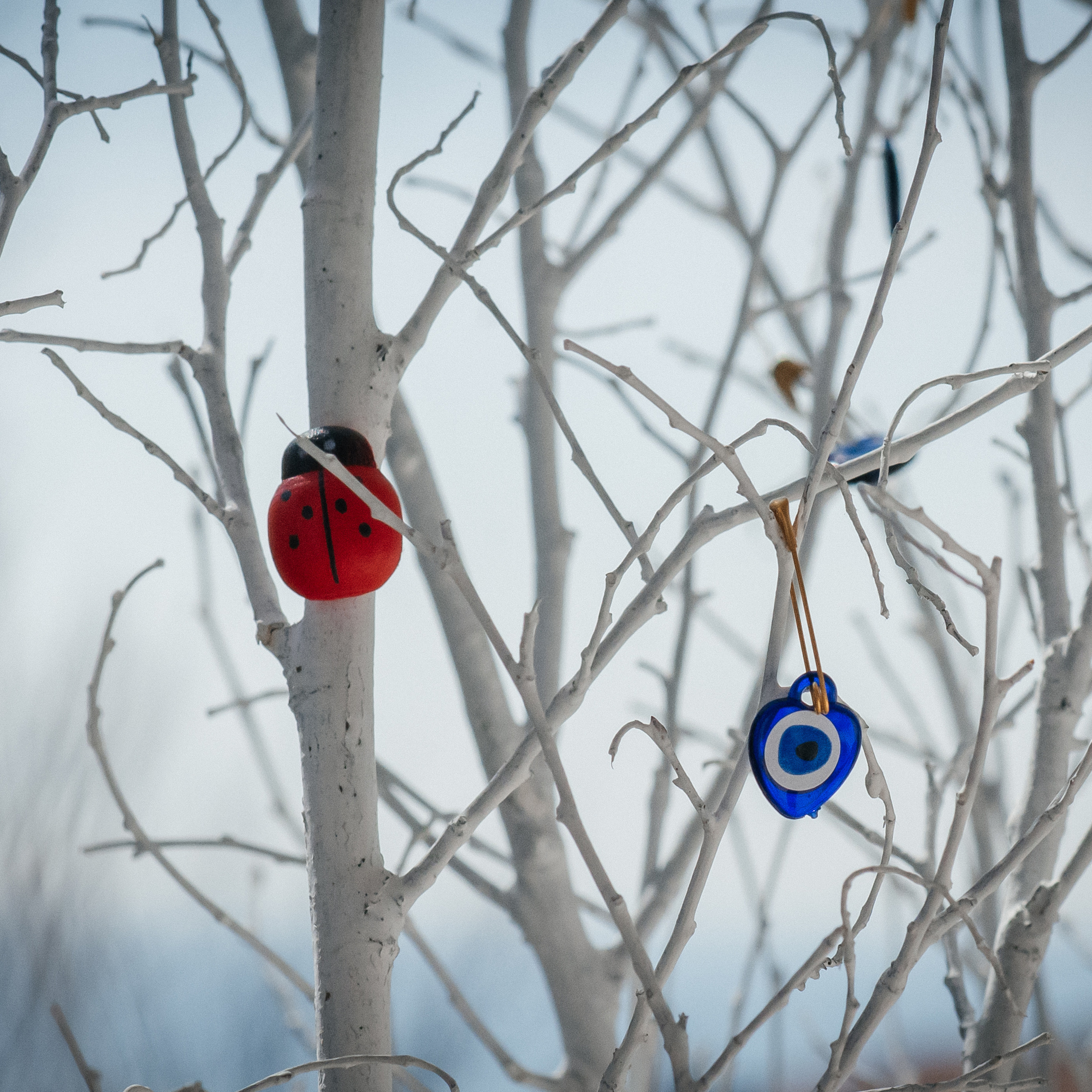 Отзывы. Фотограф Елена Рогашкова