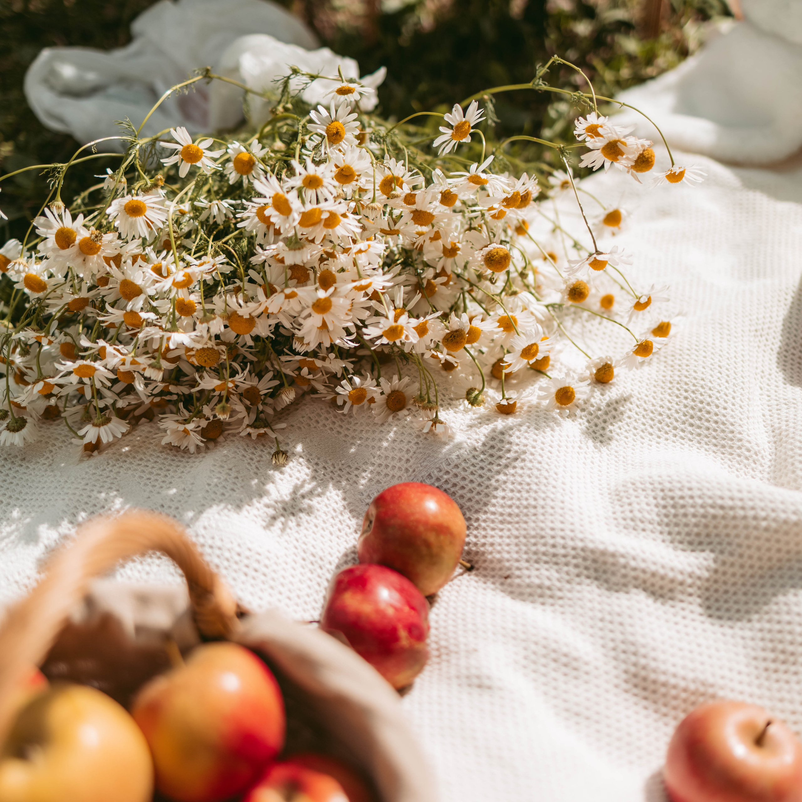 Отзывы. Семейный фотограф Москва Калининград СПб