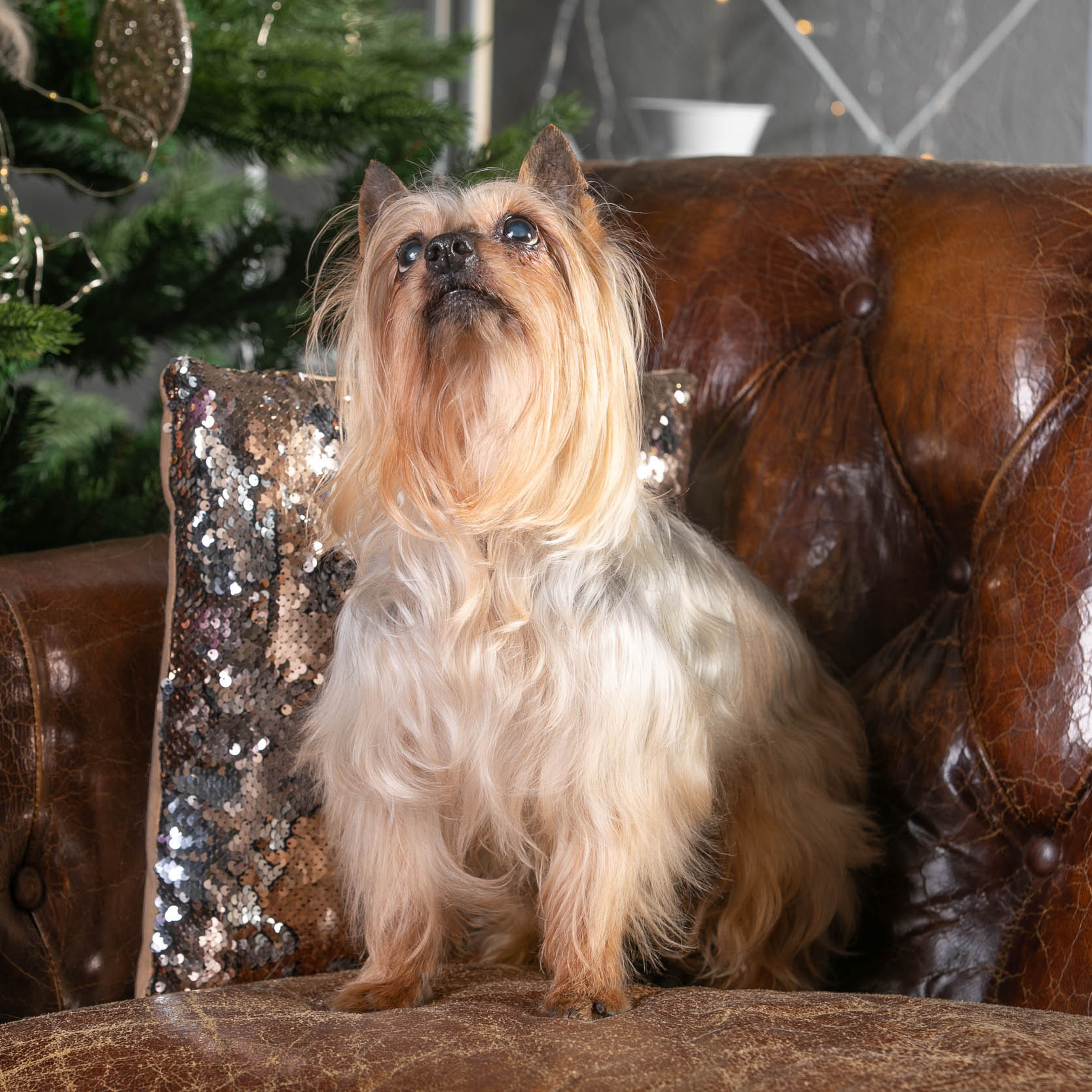 Отзывы. Профессиональный фотограф Чехарина Анна / pro photographer Chekharina