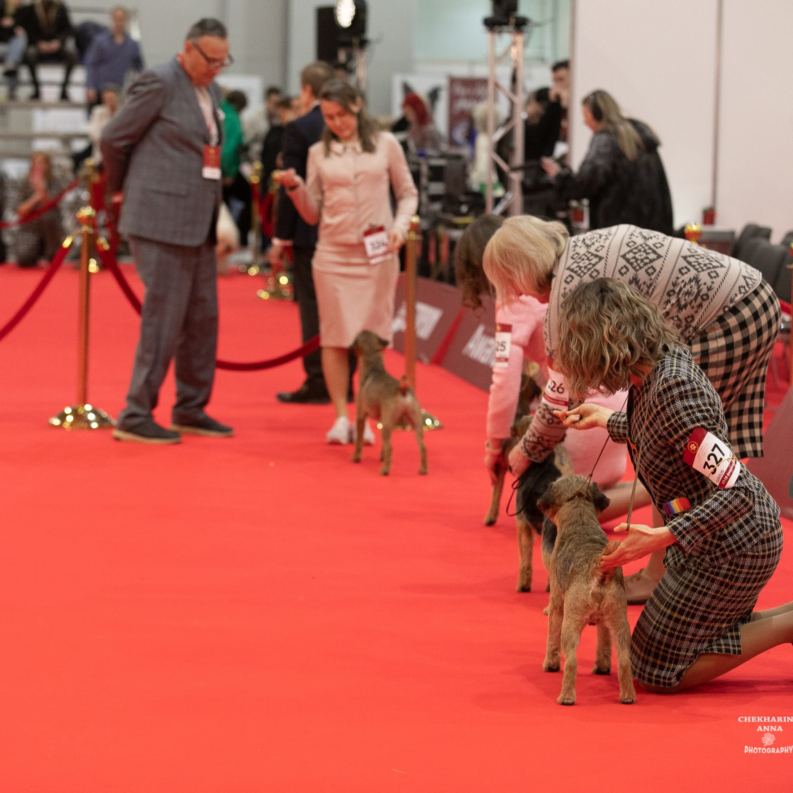 Отзывы. Профессиональный фотограф Чехарина Анна / pro photographer Chekharina