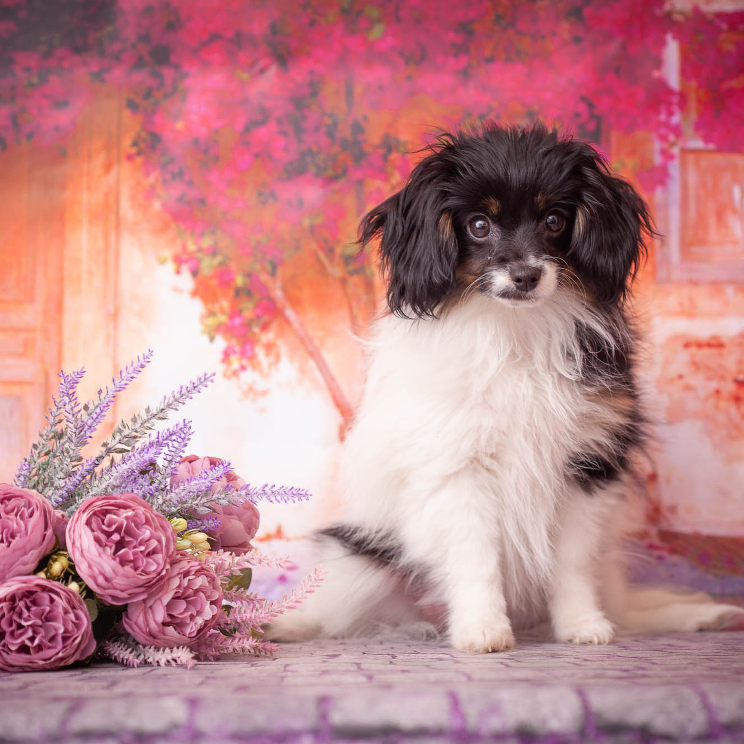 Отзывы. Профессиональный фотограф Чехарина Анна / pro photographer Chekharina