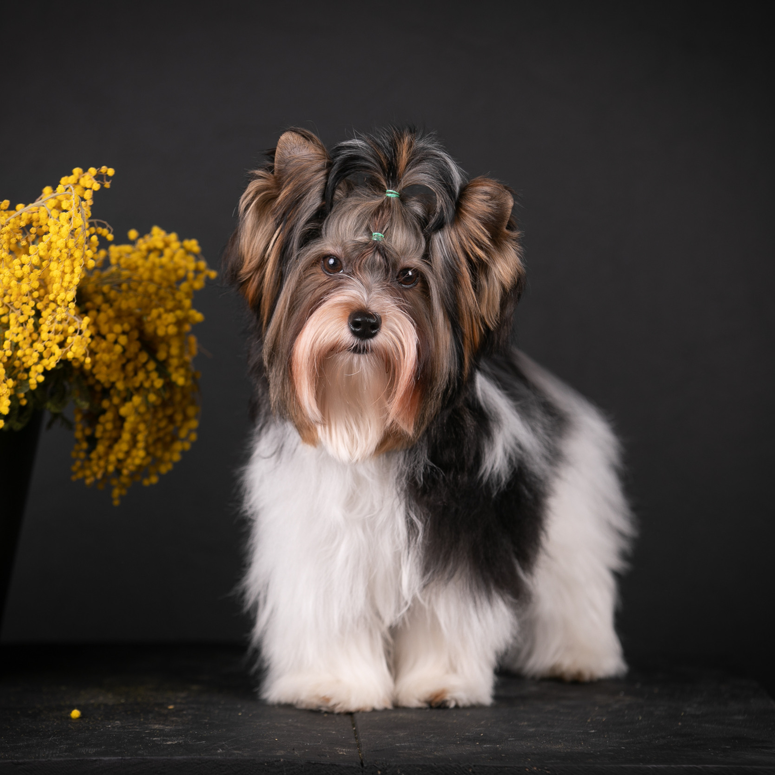 Отзывы. Профессиональный фотограф Чехарина Анна / pro photographer Chekharina