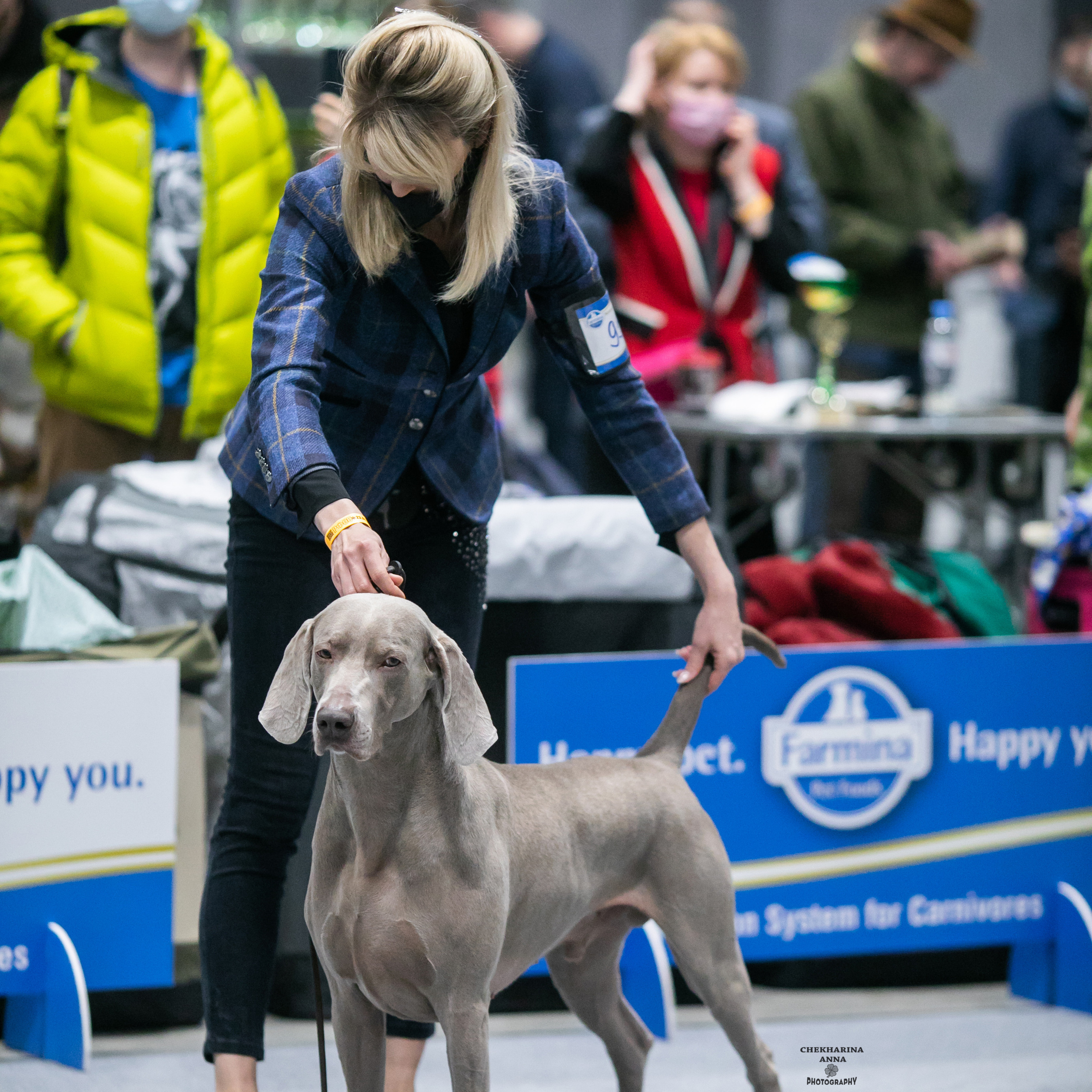 Отзывы. Профессиональный фотограф Чехарина Анна / pro photographer Chekharina