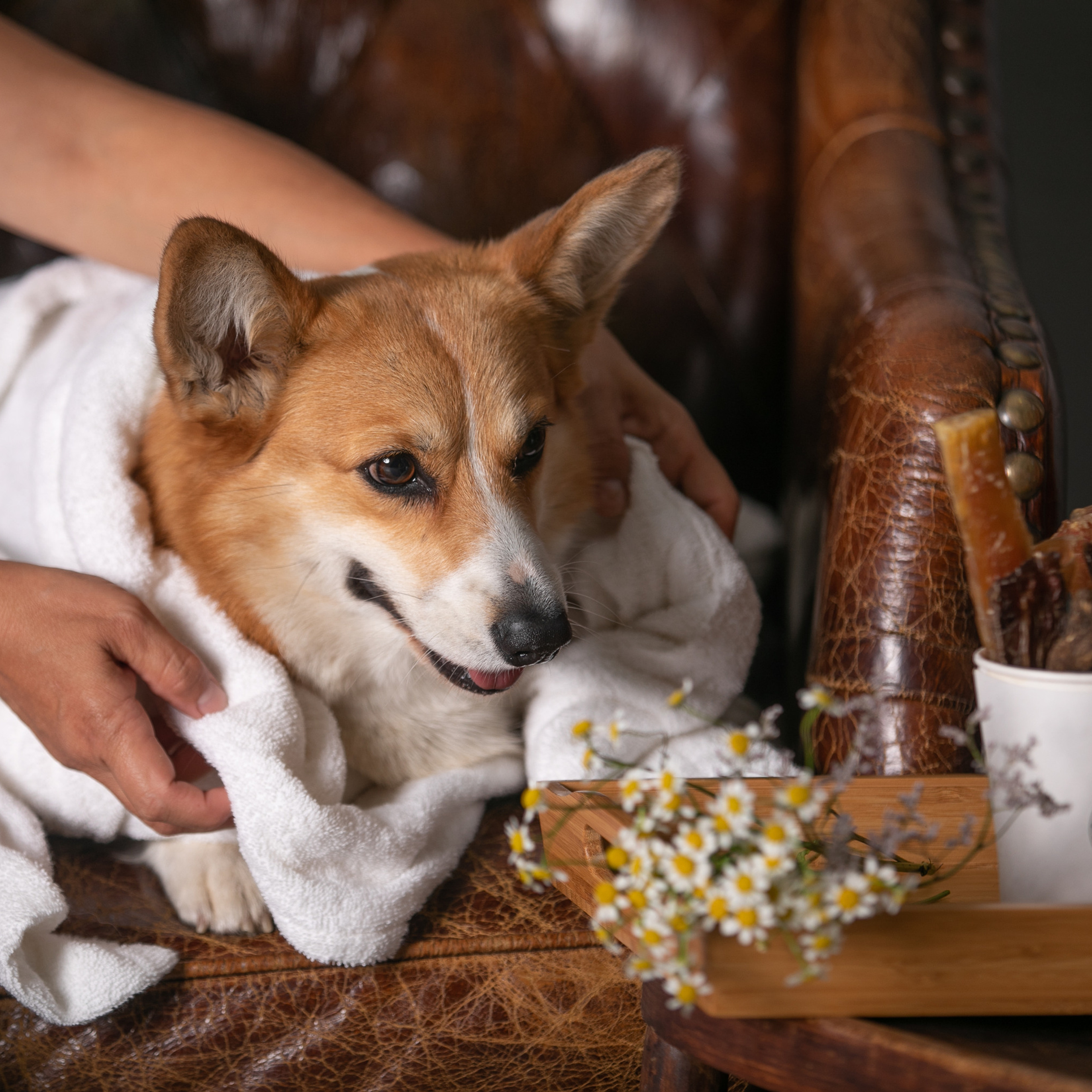 Отзывы. Профессиональный фотограф Чехарина Анна / pro photographer Chekharina