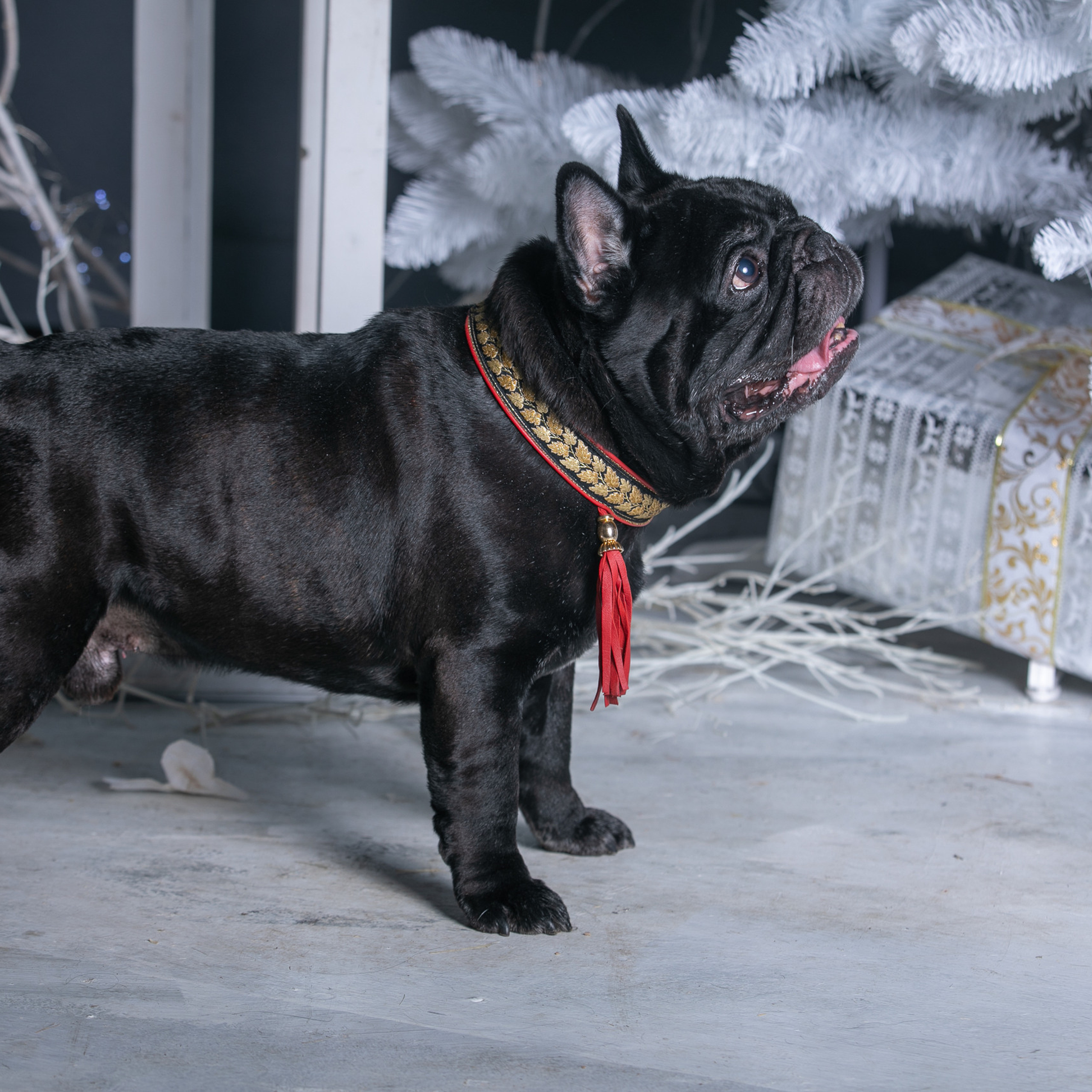 Отзывы. Профессиональный фотограф Чехарина Анна / pro photographer Chekharina