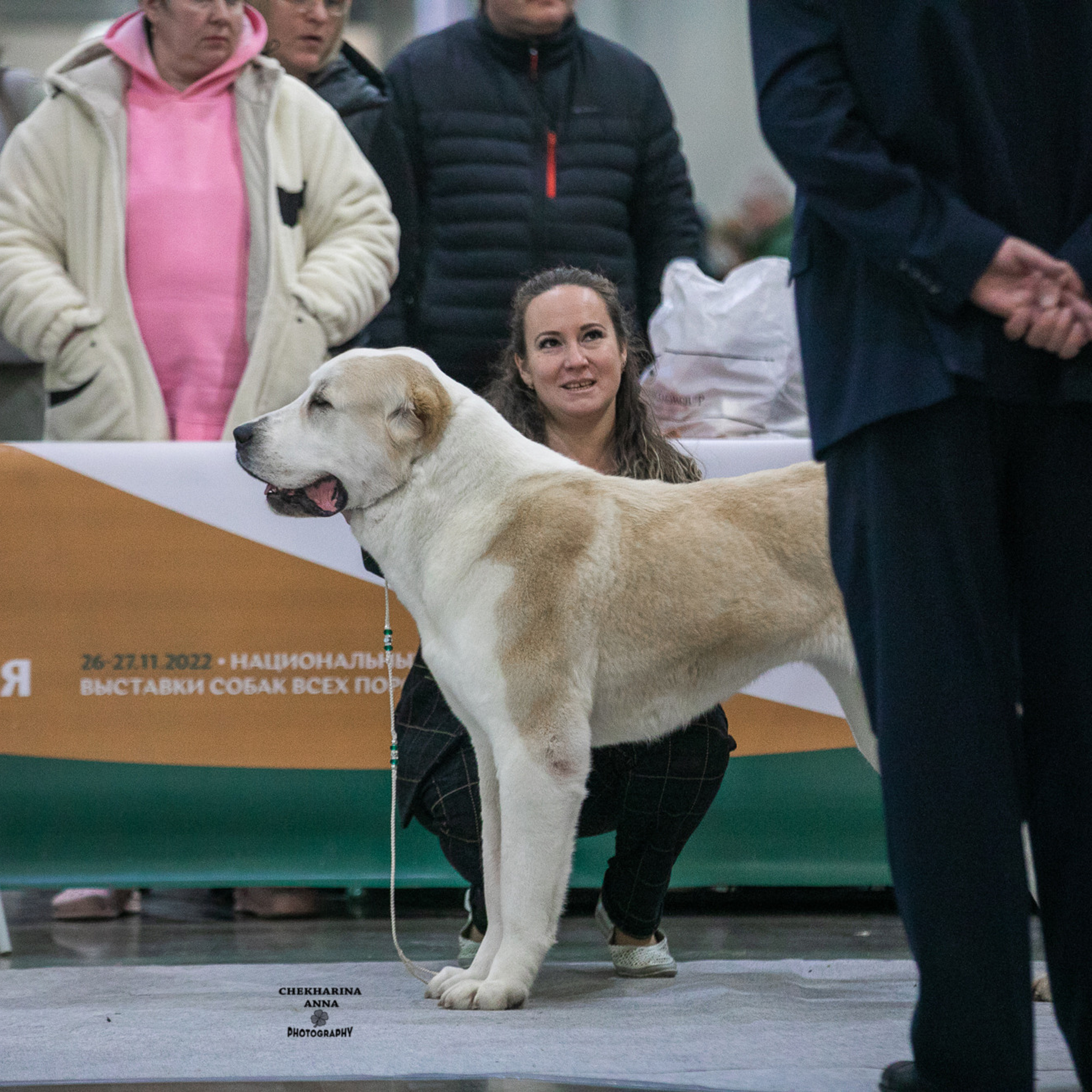 Отзывы. Профессиональный фотограф Чехарина Анна / pro photographer Chekharina