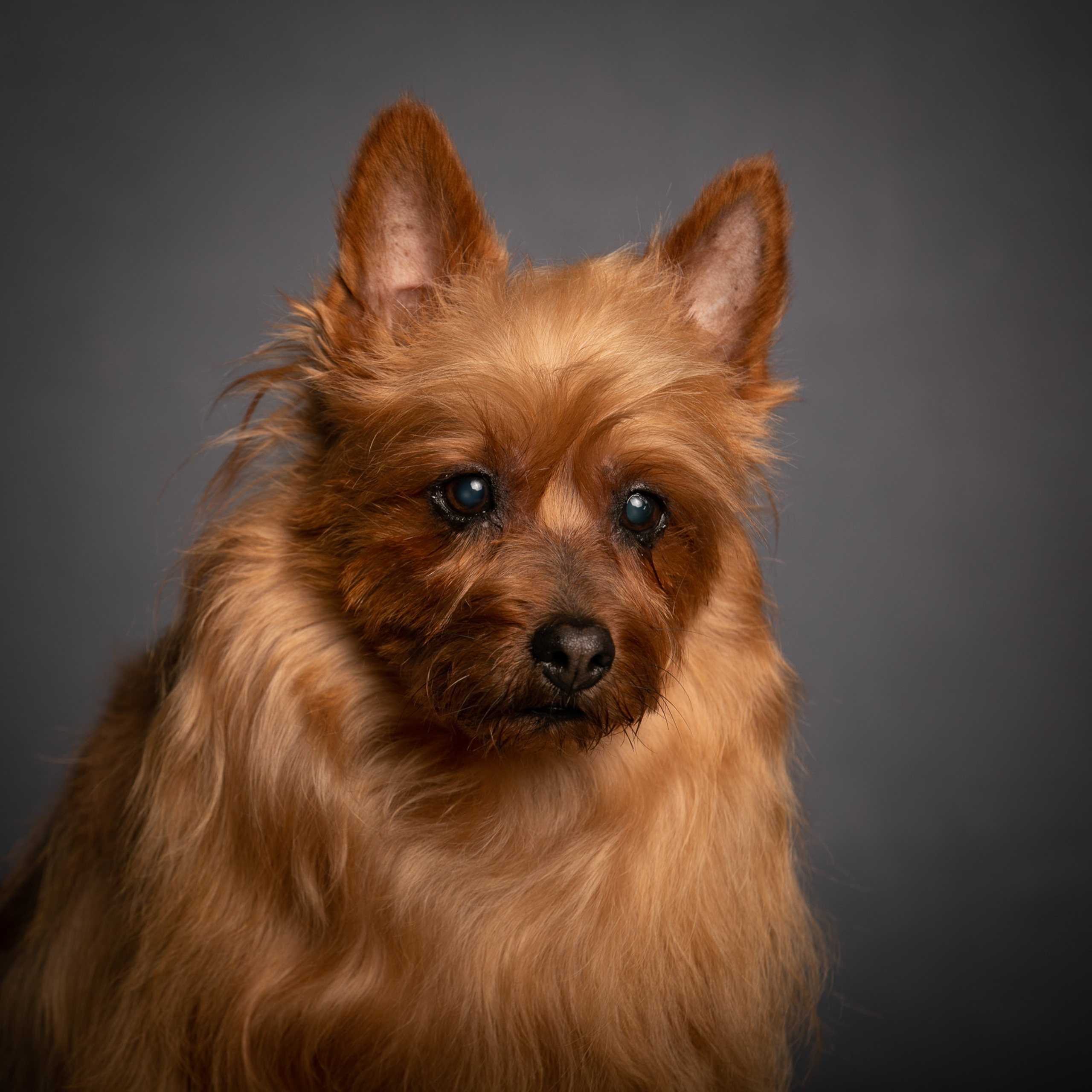 Отзывы. Профессиональный фотограф Чехарина Анна / pro photographer Chekharina