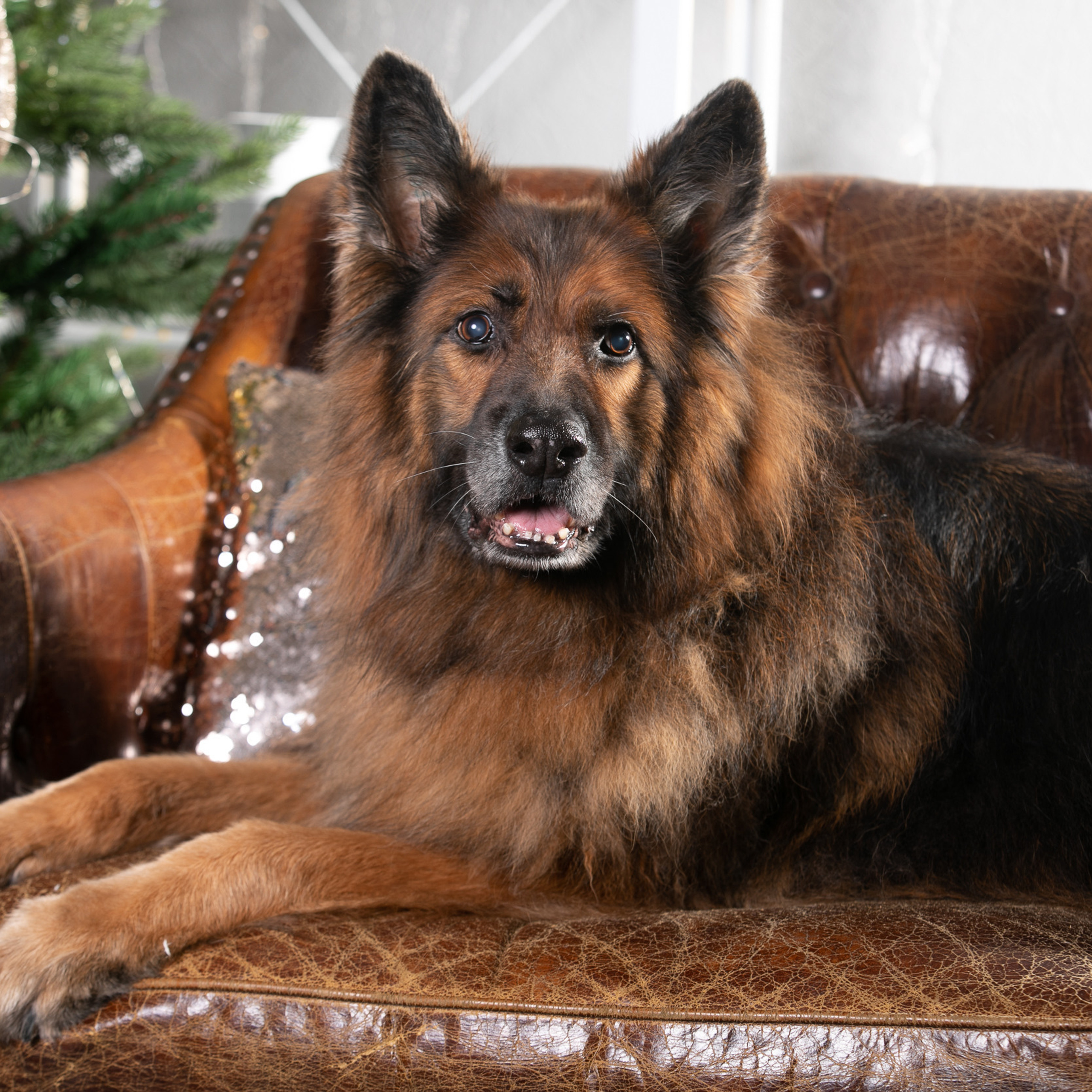 Отзывы. Профессиональный фотограф Чехарина Анна / pro photographer Chekharina