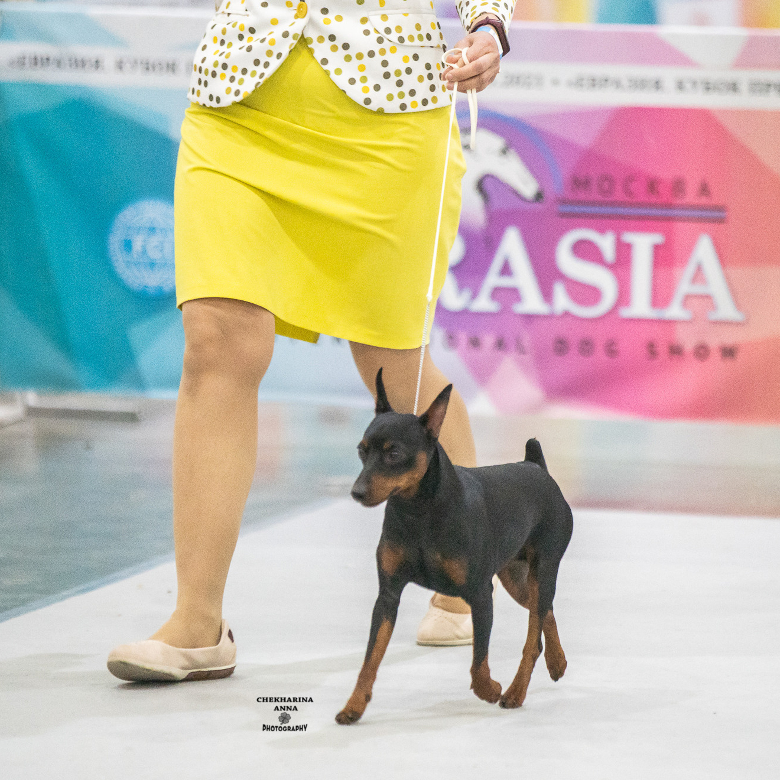 Отзывы. Профессиональный фотограф Чехарина Анна / pro photographer Chekharina