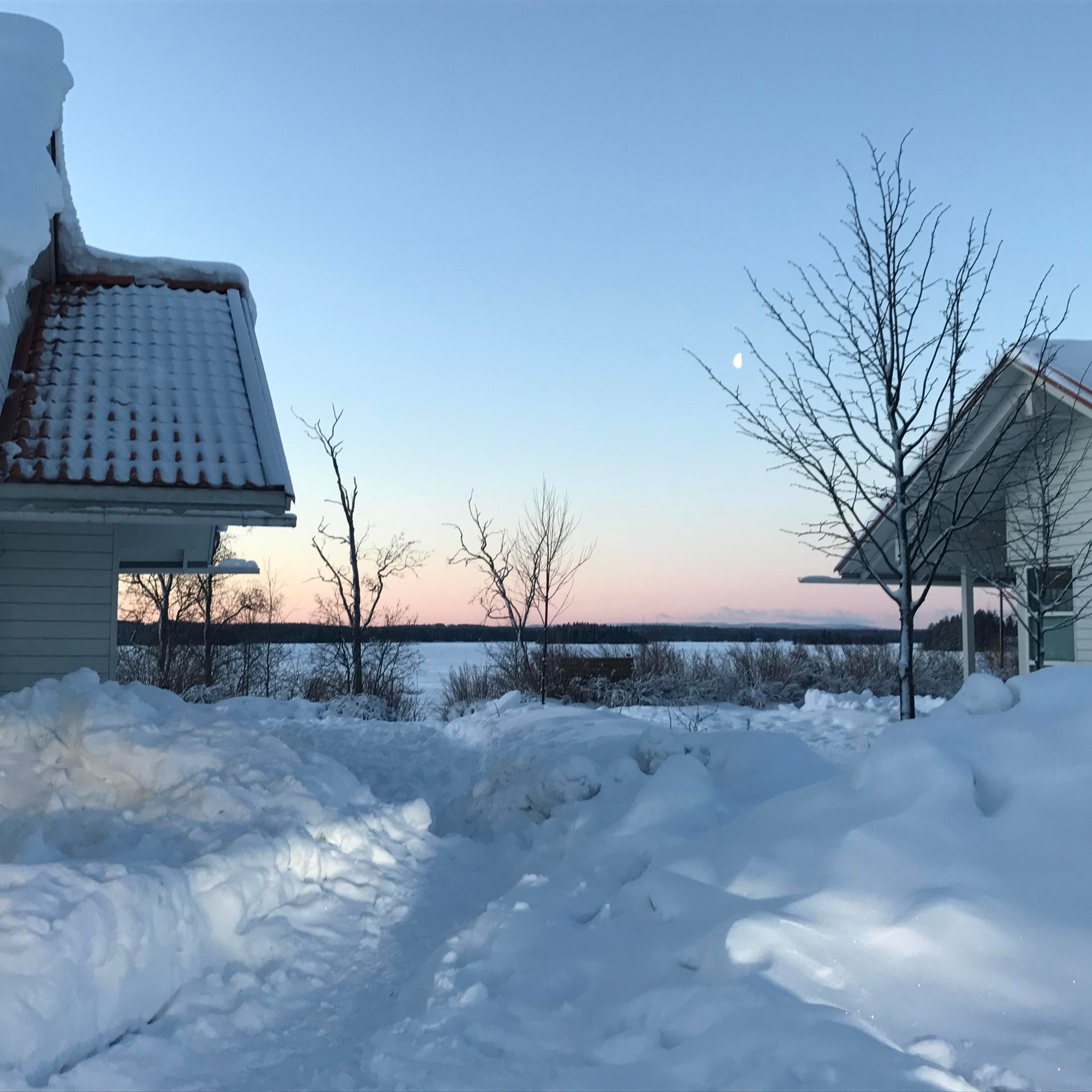 Отзывы. Профессиональный фотограф Чехарина Анна / pro photographer Chekharina