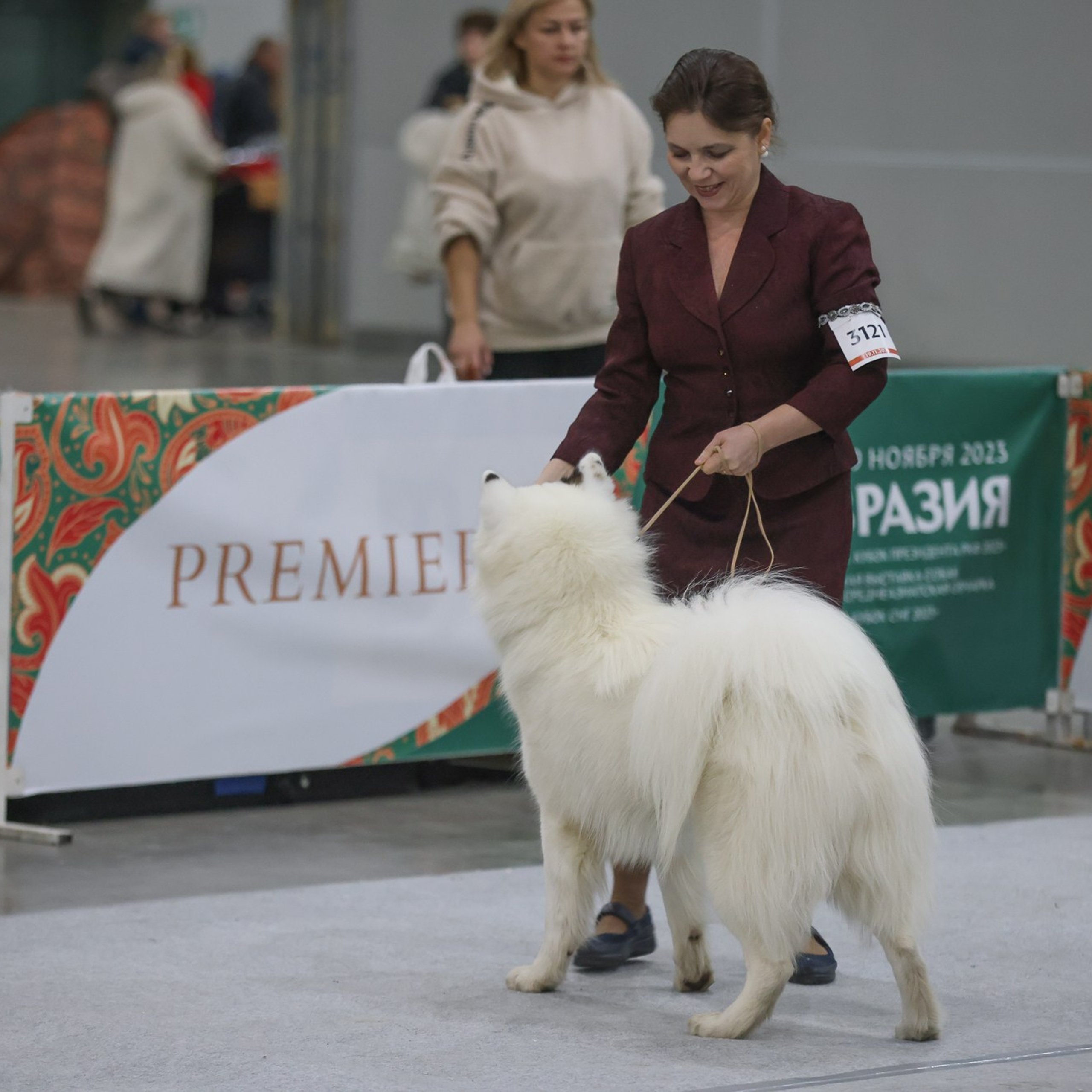 Отзывы. Профессиональный фотограф Чехарина Анна / pro photographer Chekharina